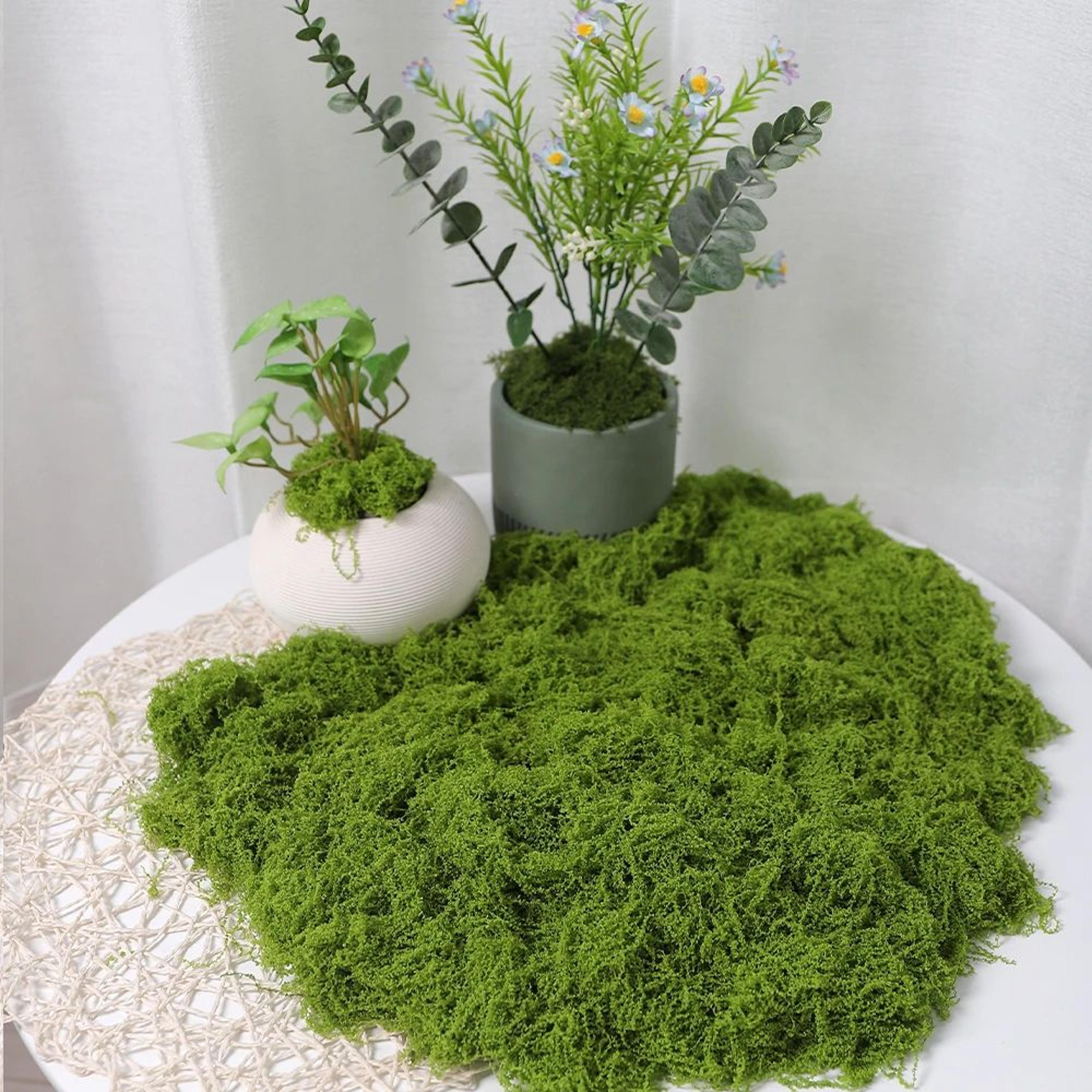 Artificial Moss Decor Green Faux Moss For DIY Crafts And Home Decoration 11