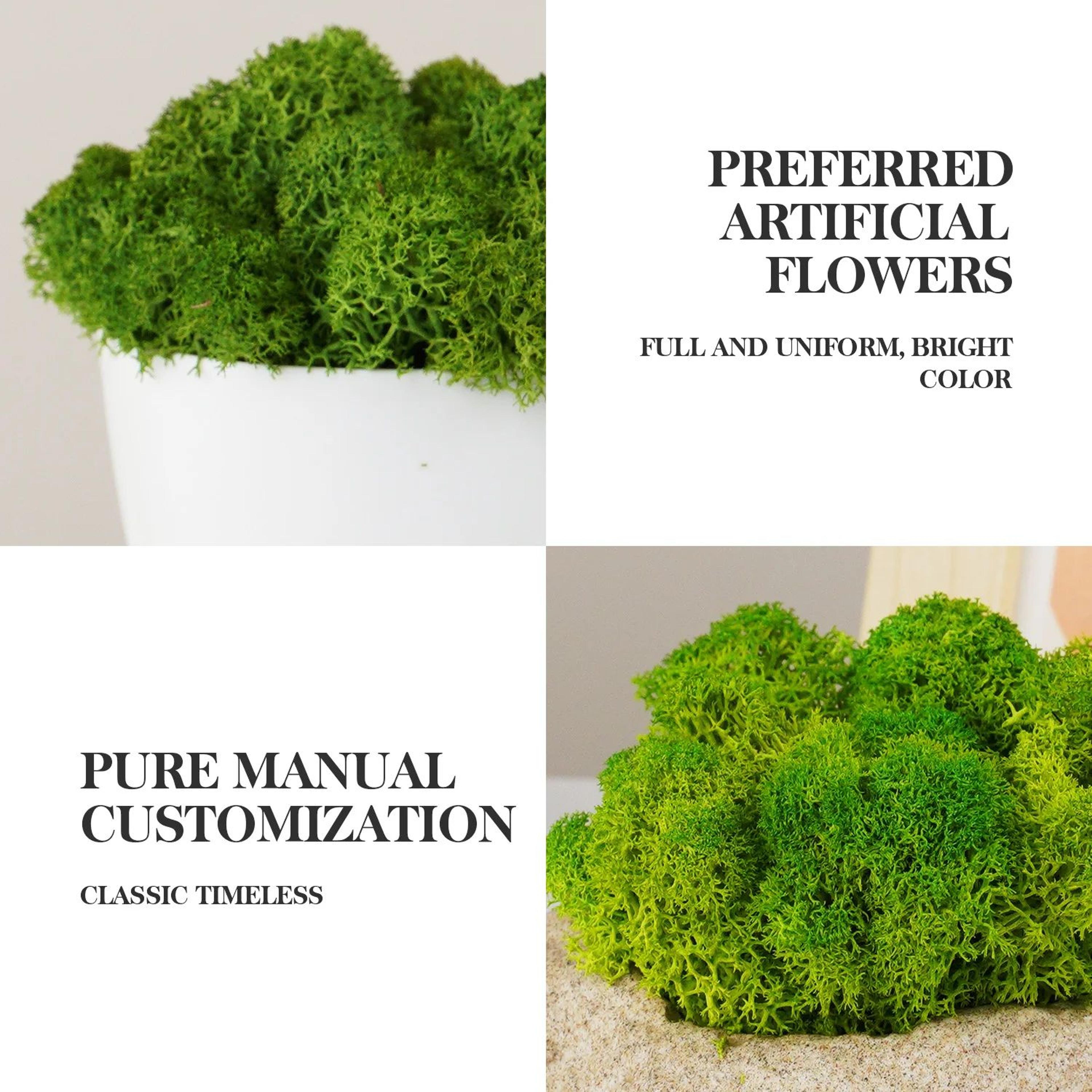 Natural Green Moss Decor Artificial Moss For Mini Garden And Wall Design 4