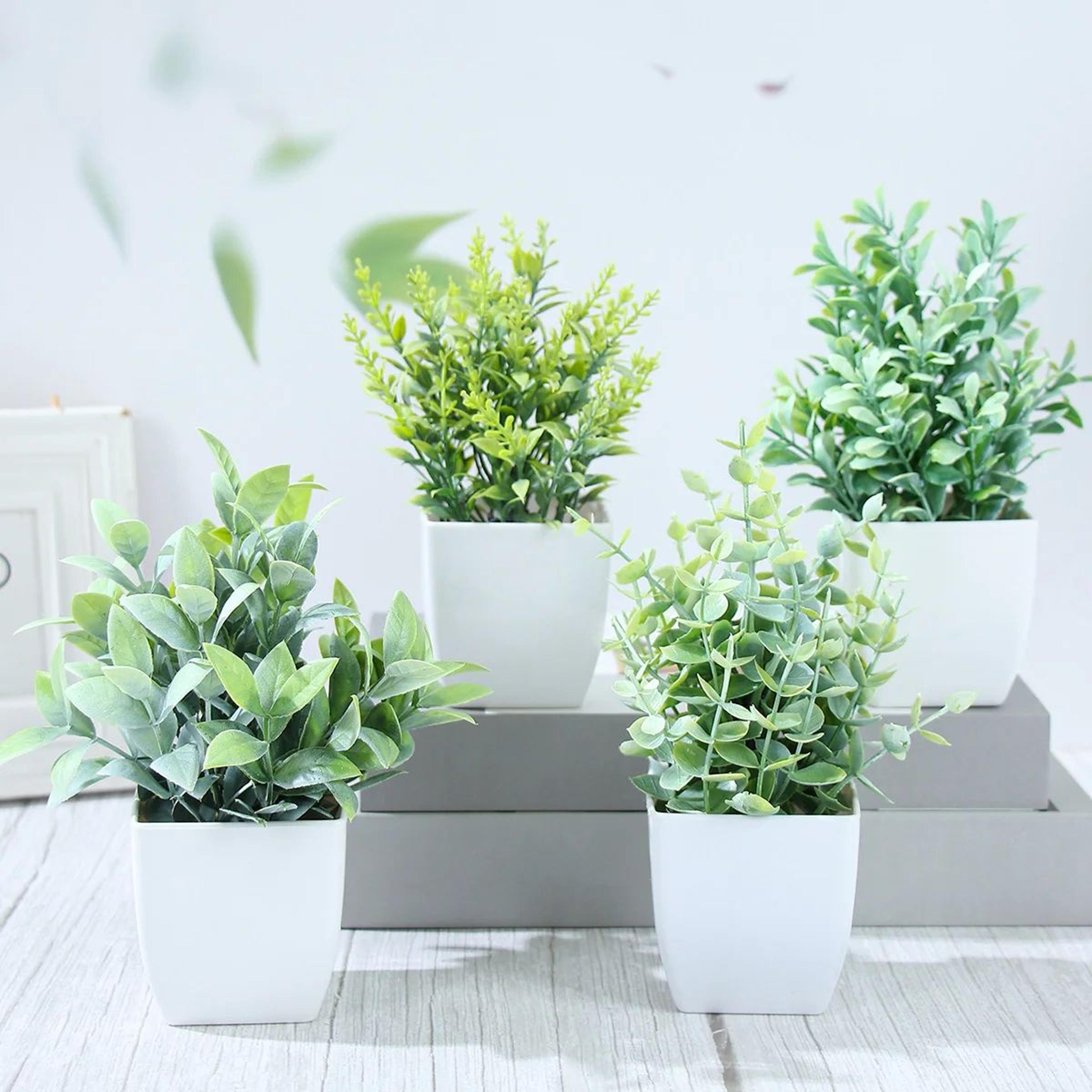 Mini Artificial Potted Plants Set For Home Table Decor And Styling 3