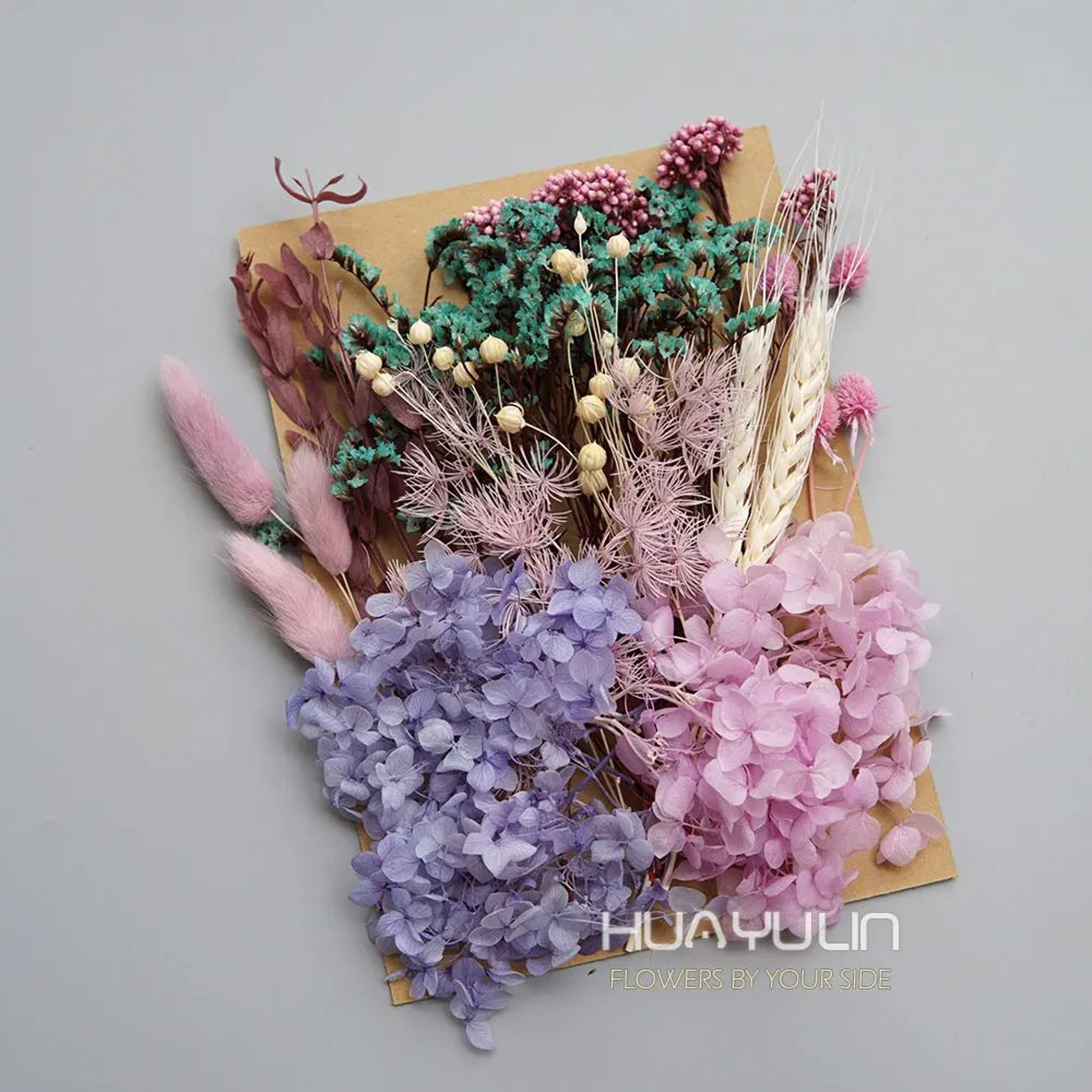 Preserved Hydrangea Dried Flowers Set For Resin Crafts Candle Making And DIY Decor 11