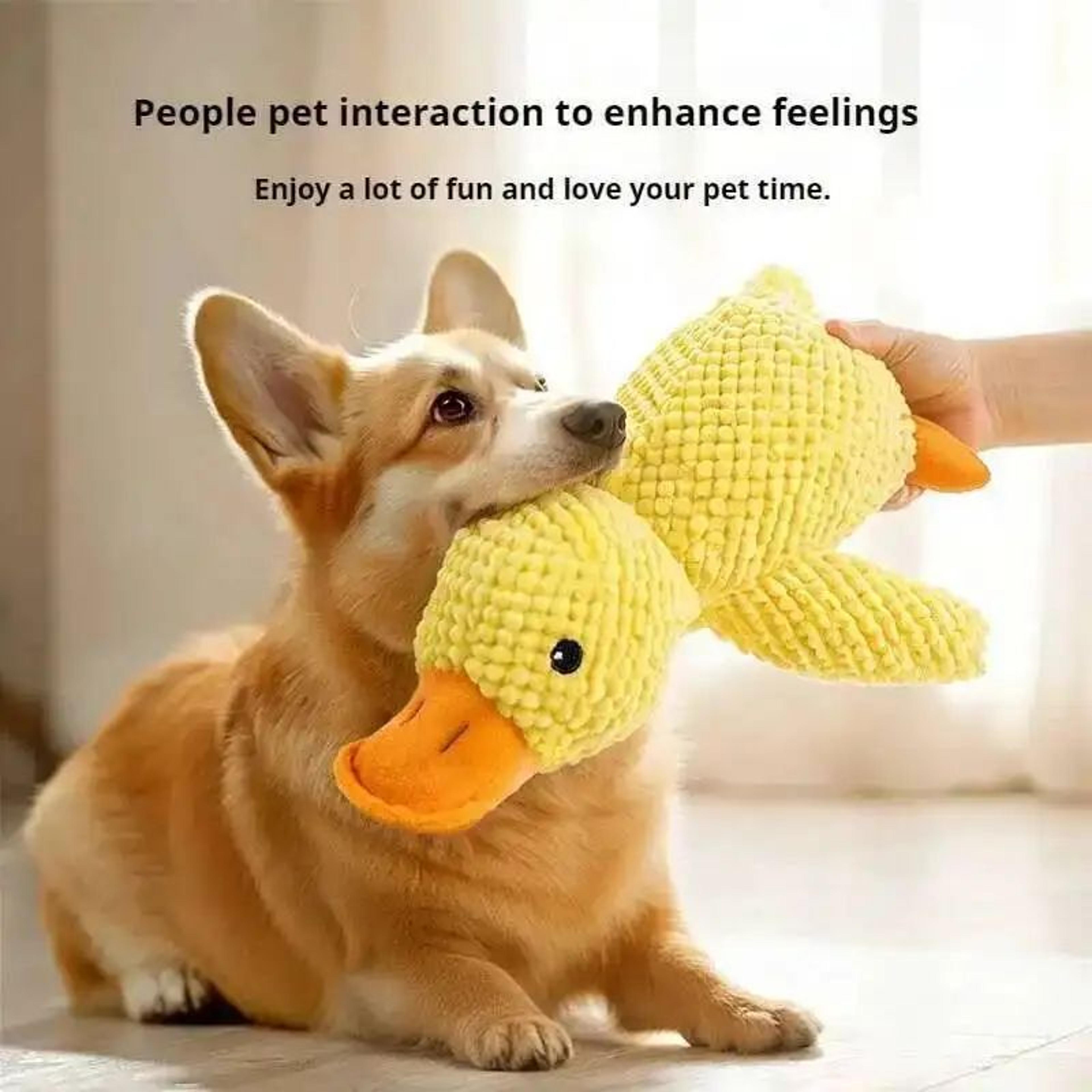 SnuggleDuck Plush Dog Chew Toy 2