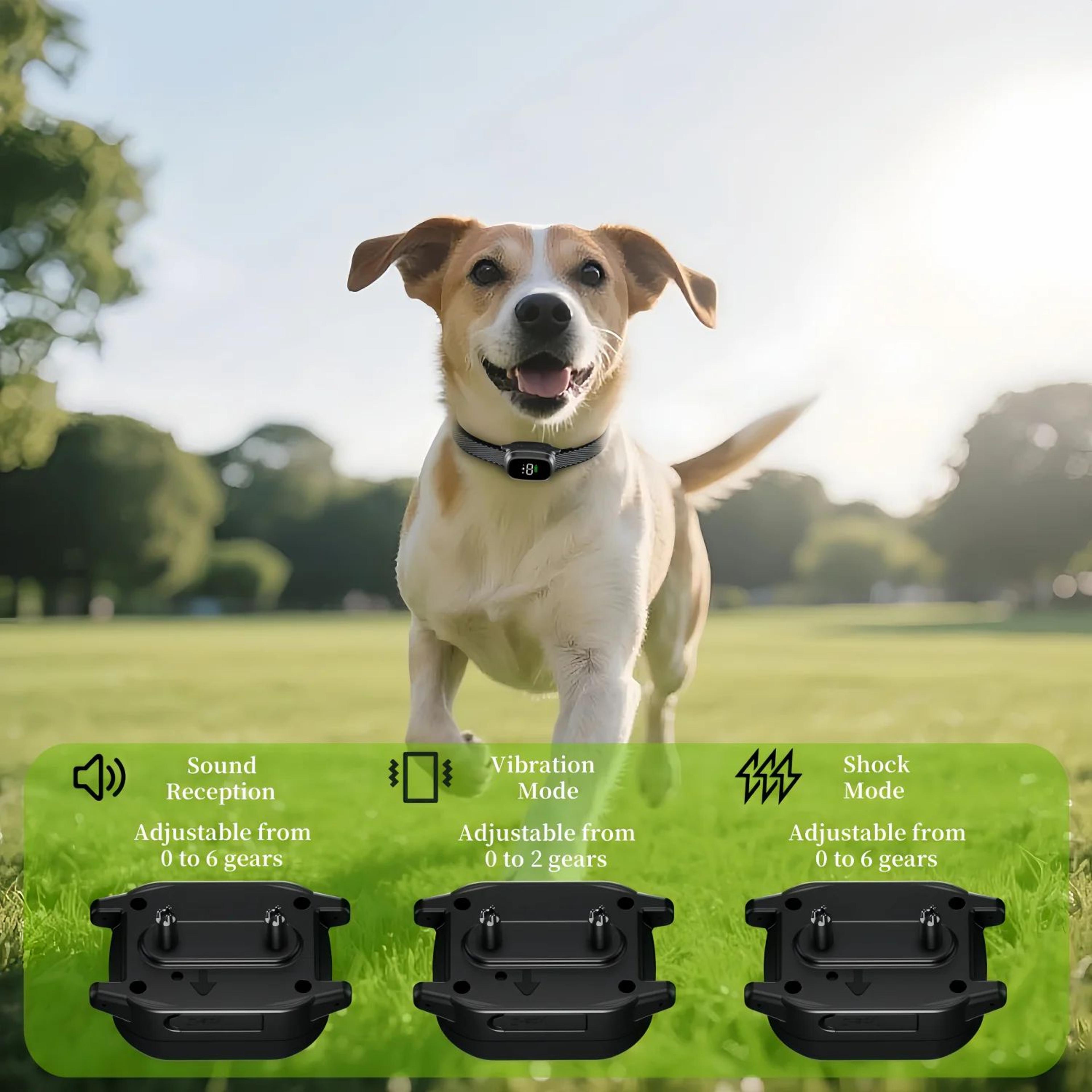 rechargeable automatic anti bark dog training collar