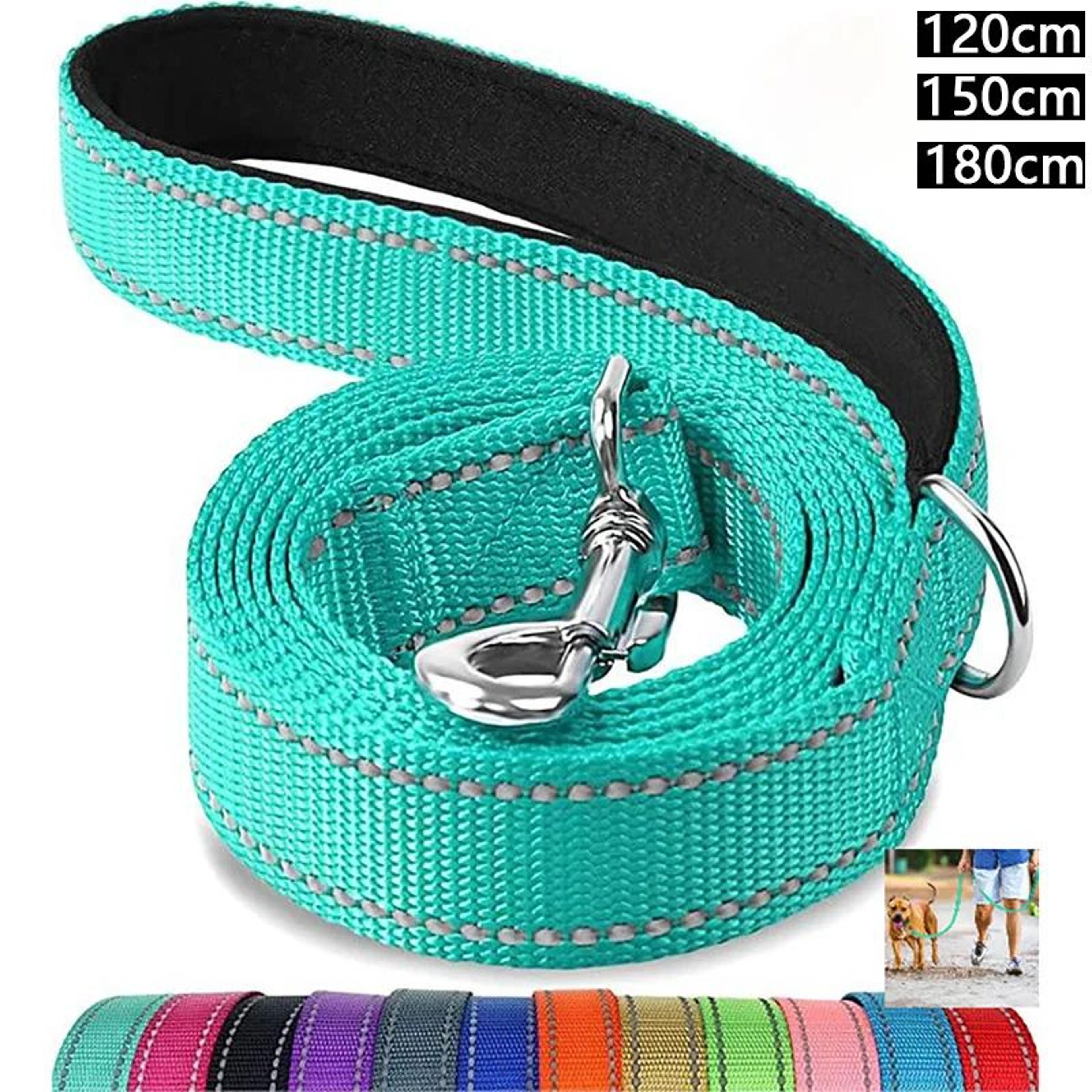 Reflective Dog Harness And Training Leash Set 0