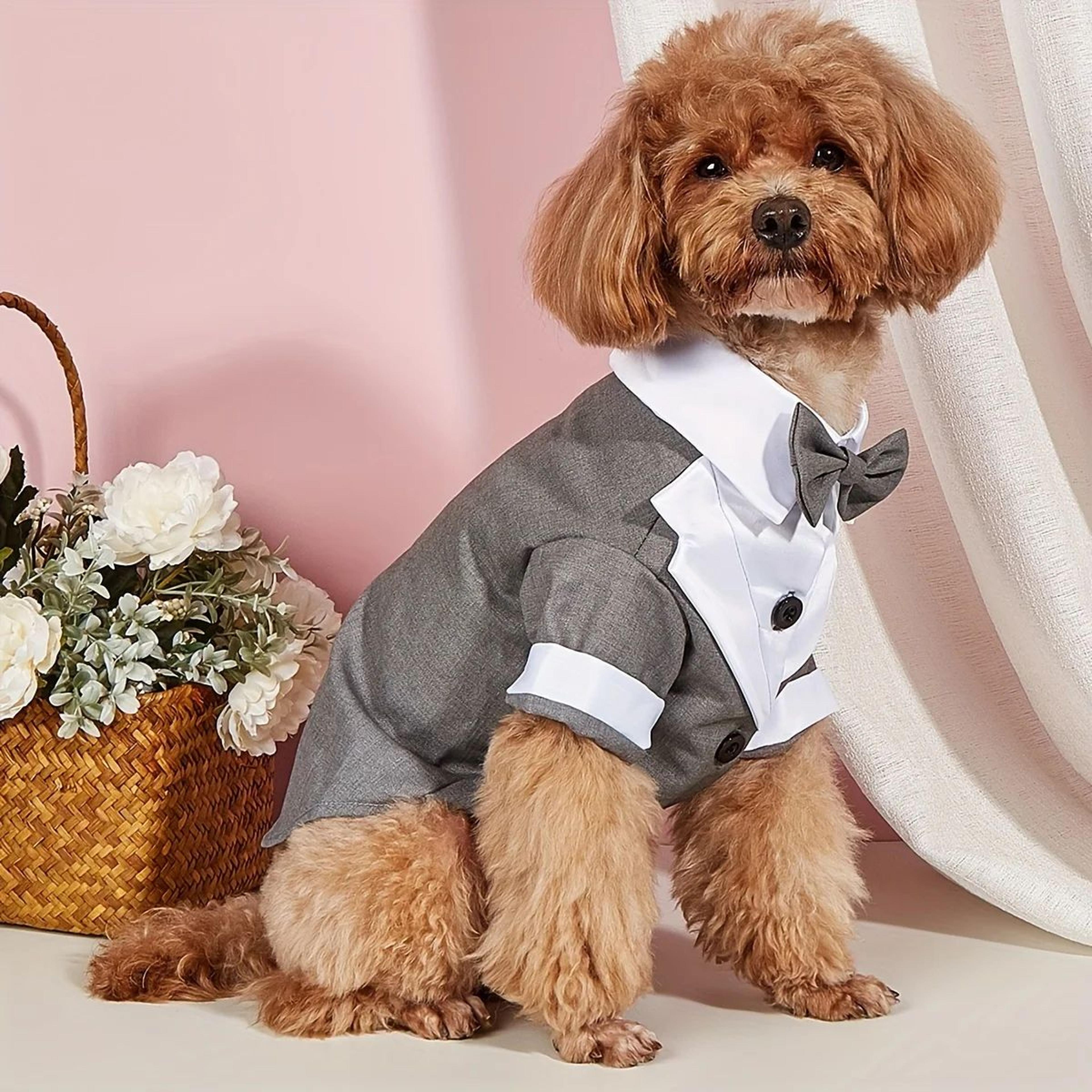 Formal Dog Wedding Suit With Bow Tie 4