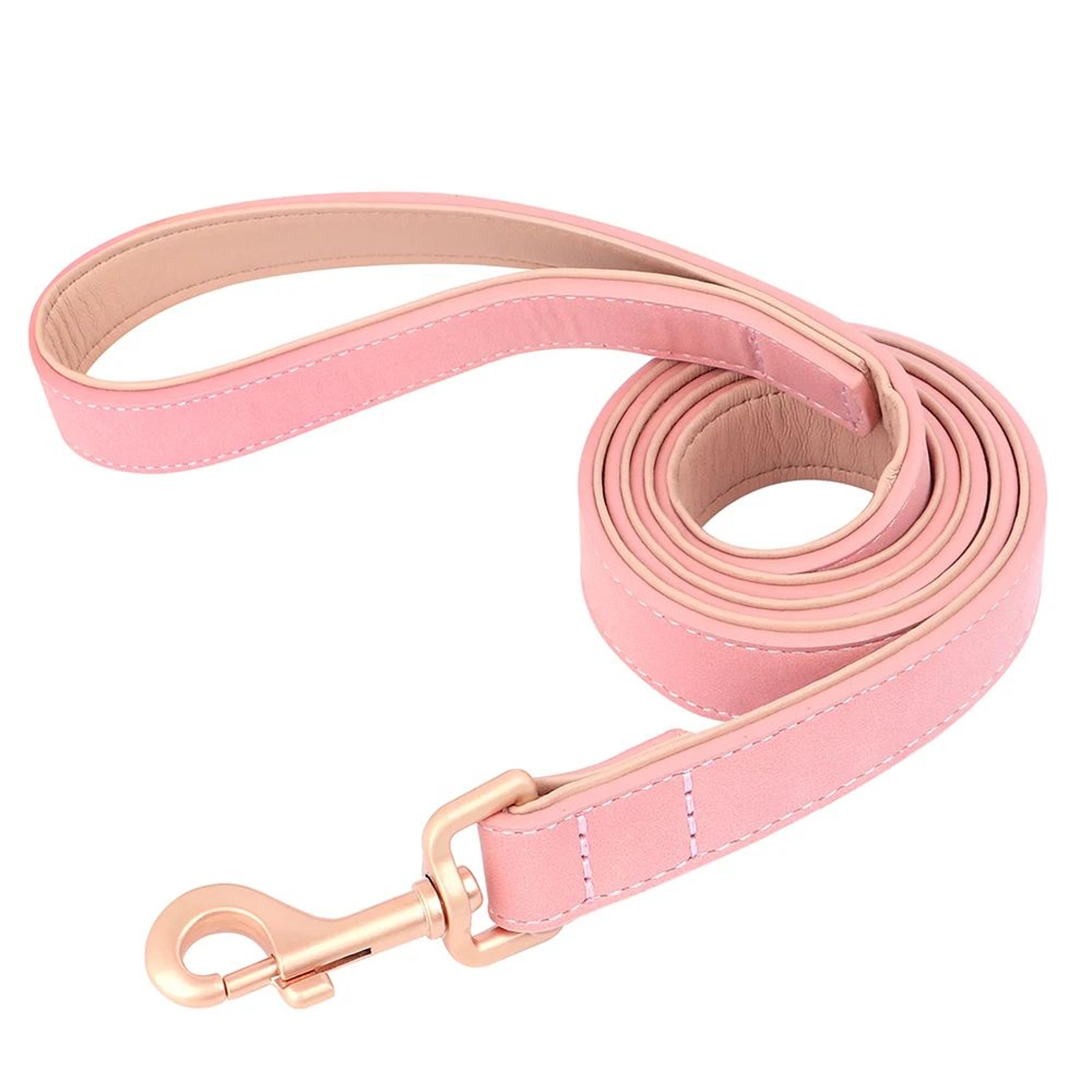 Soft Padded Leather Dog Collar And Leash Set 13