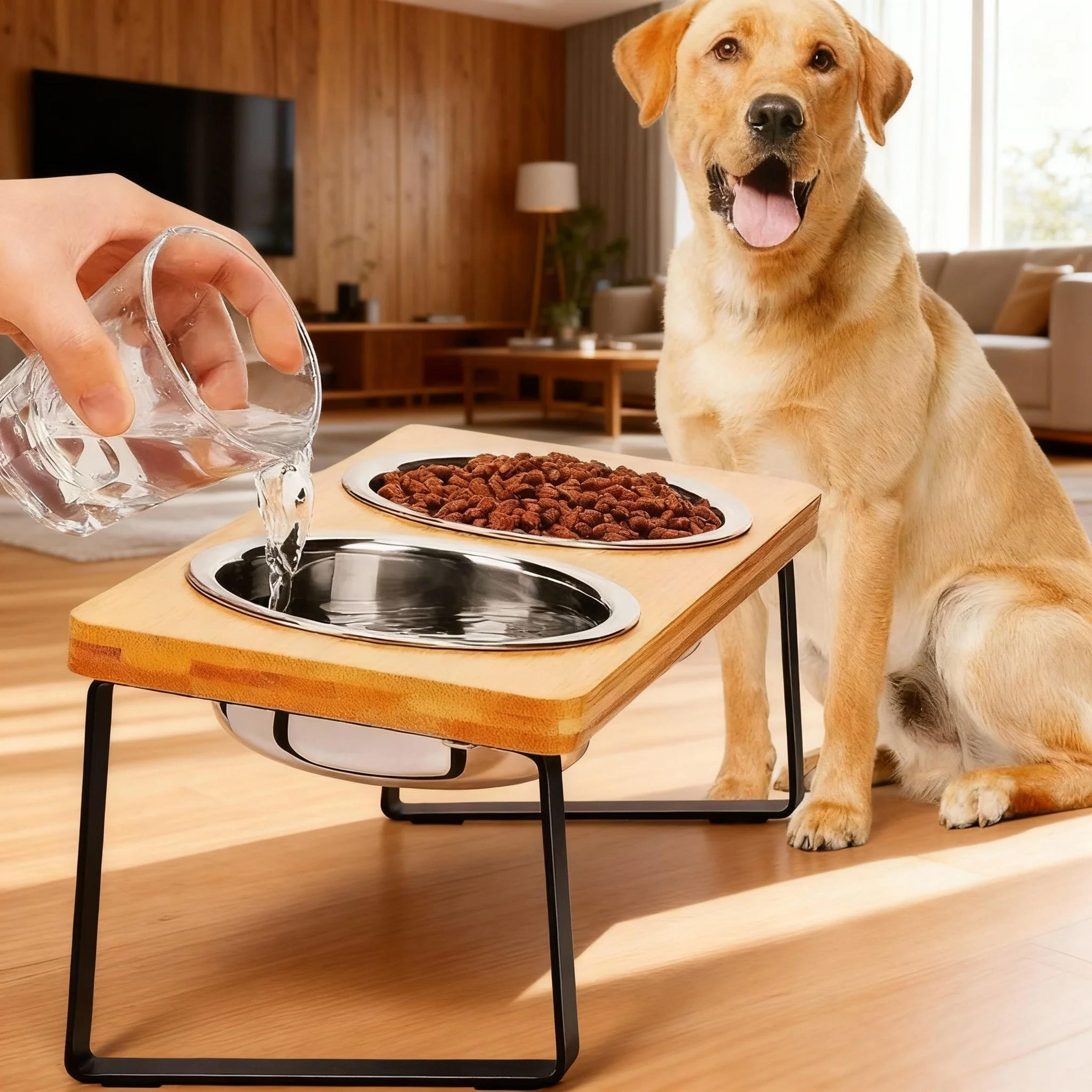 elevated tilted cat bowl stand with stainless steel bowls