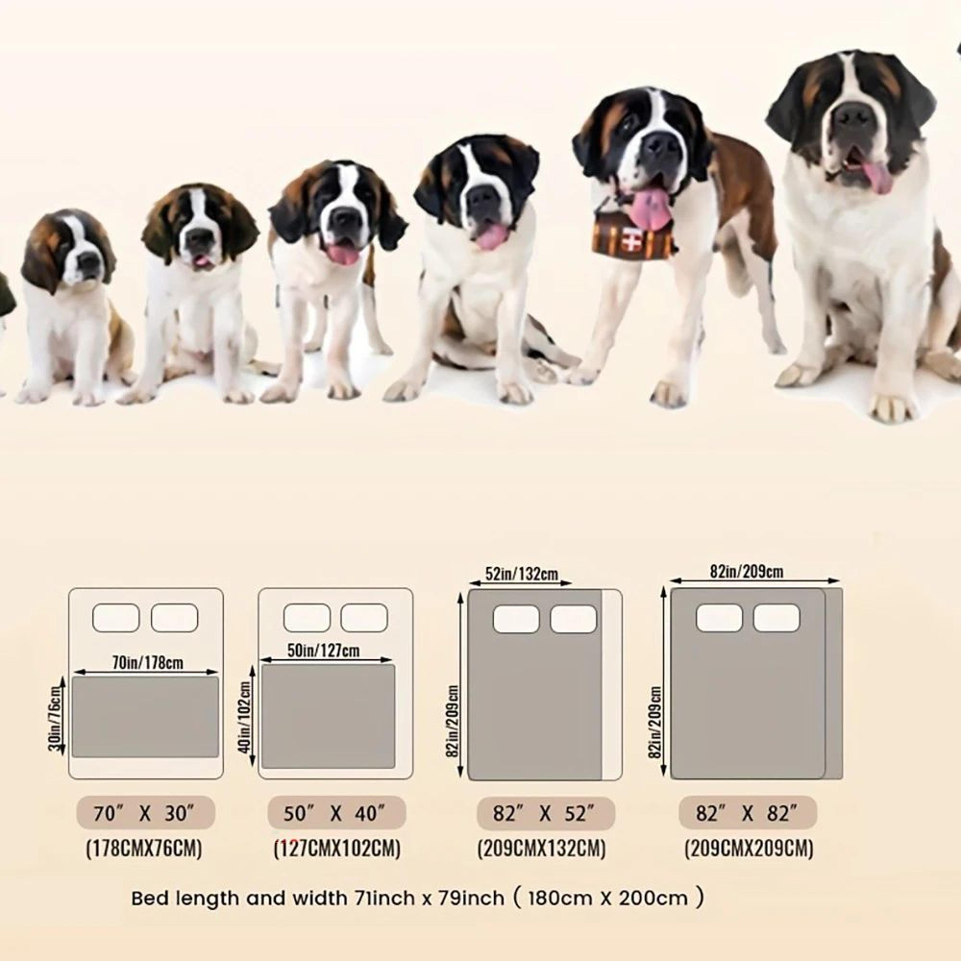 Reversible Waterproof Dog Bed Cover Sofa Protector Pet Blanket 4