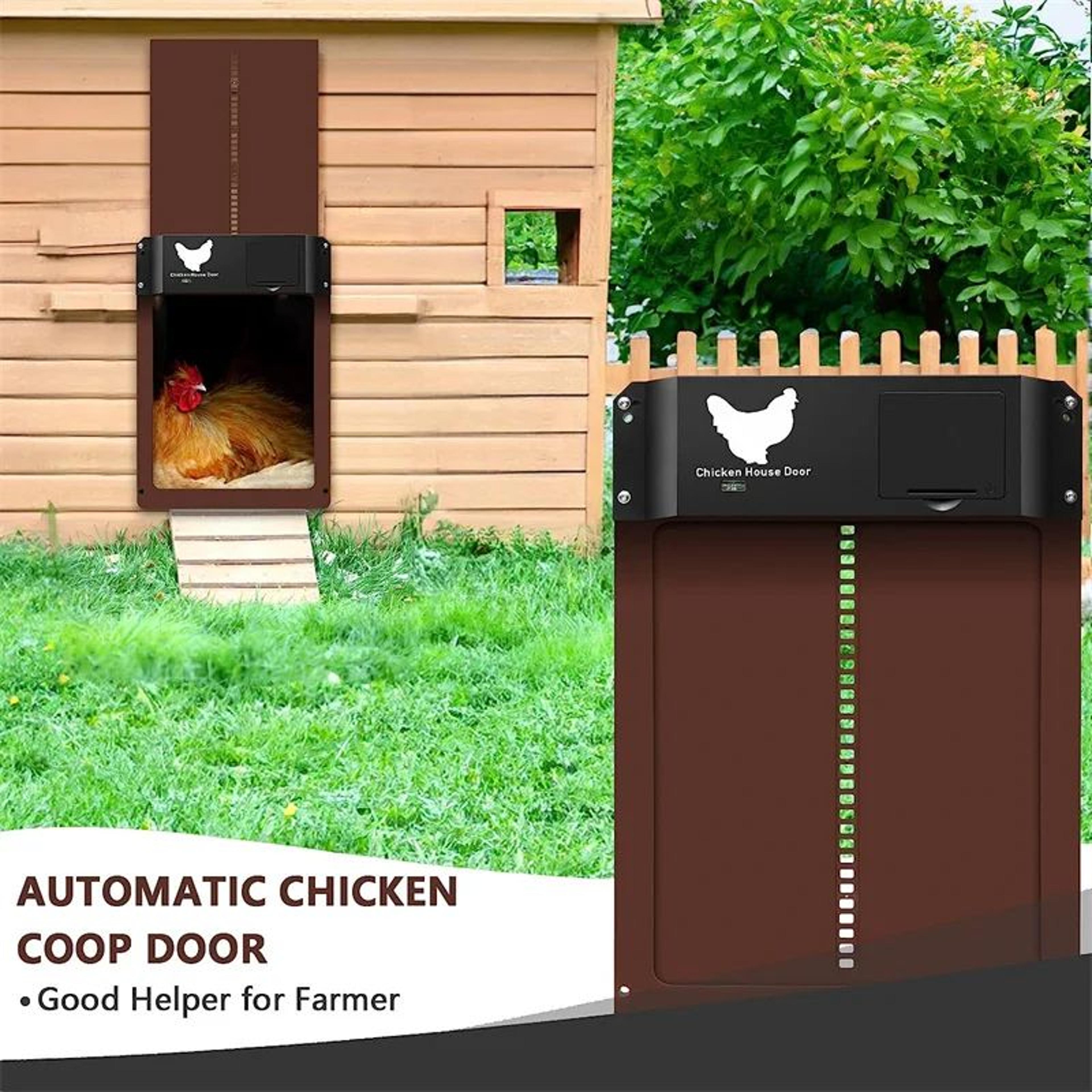 Automatic Chicken Coop Door With Light Sensor Opener 5