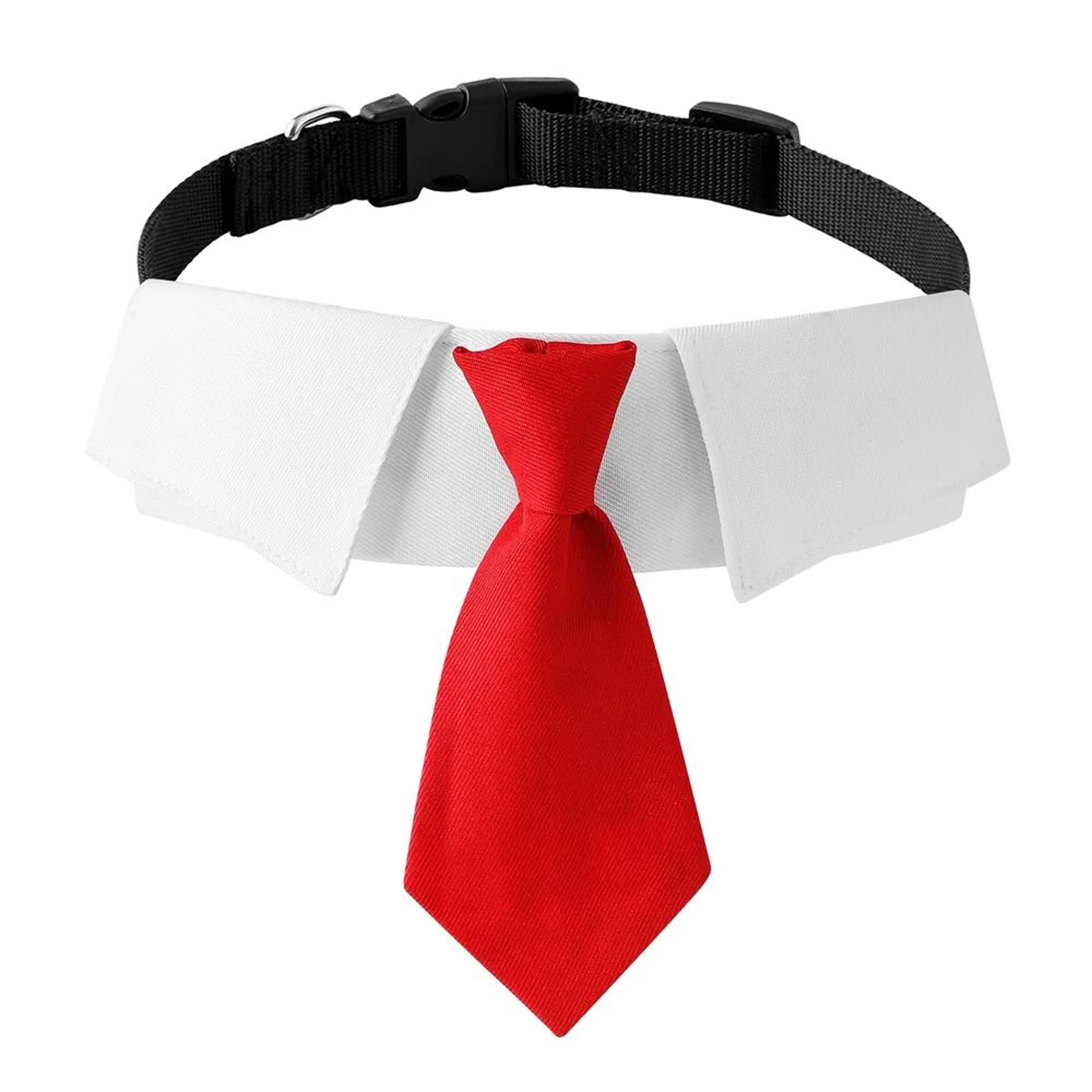 Formal Dog Wedding Suit Collar With Necktie 6