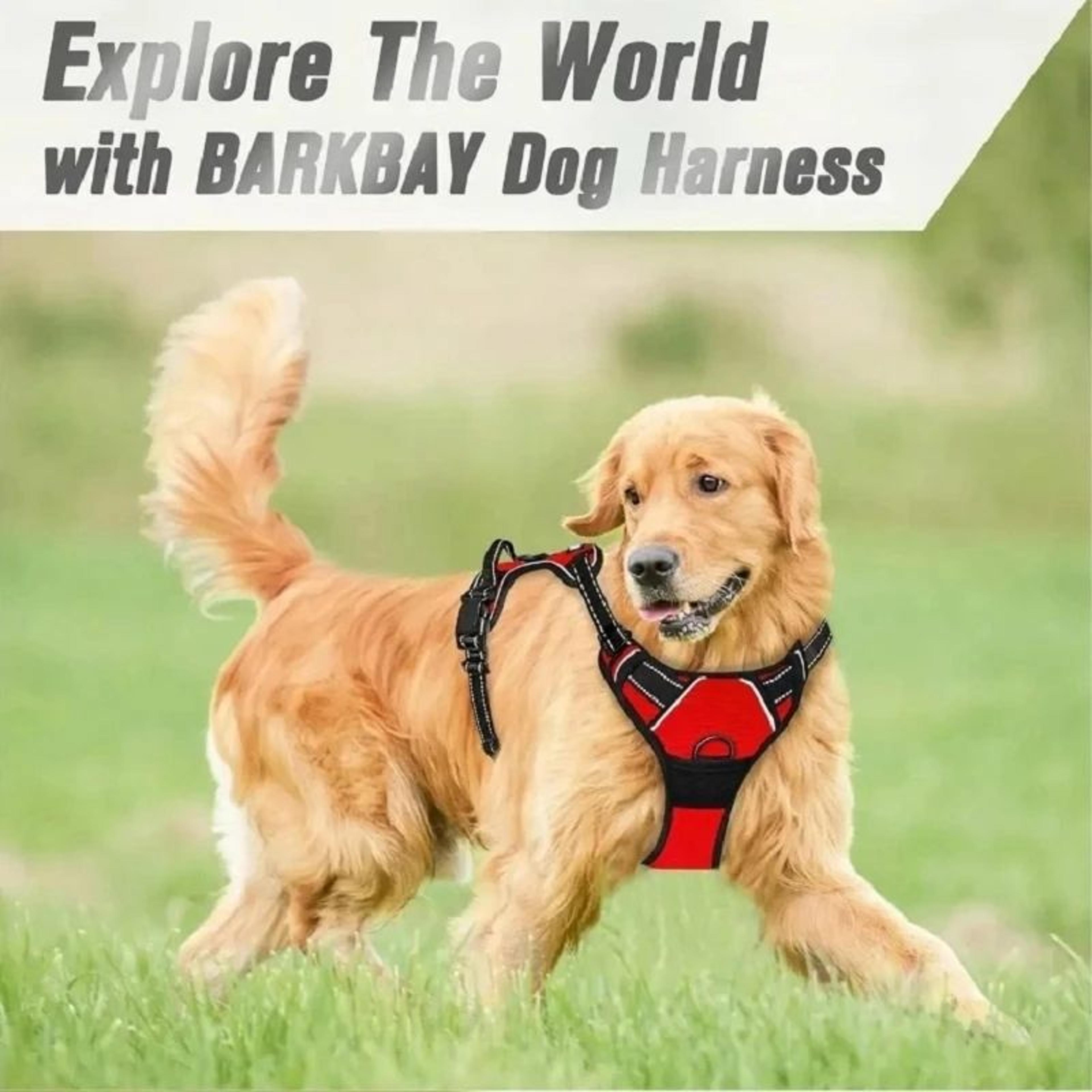 Heavy Duty No Pull Dog Harness With Reflective Handle 1