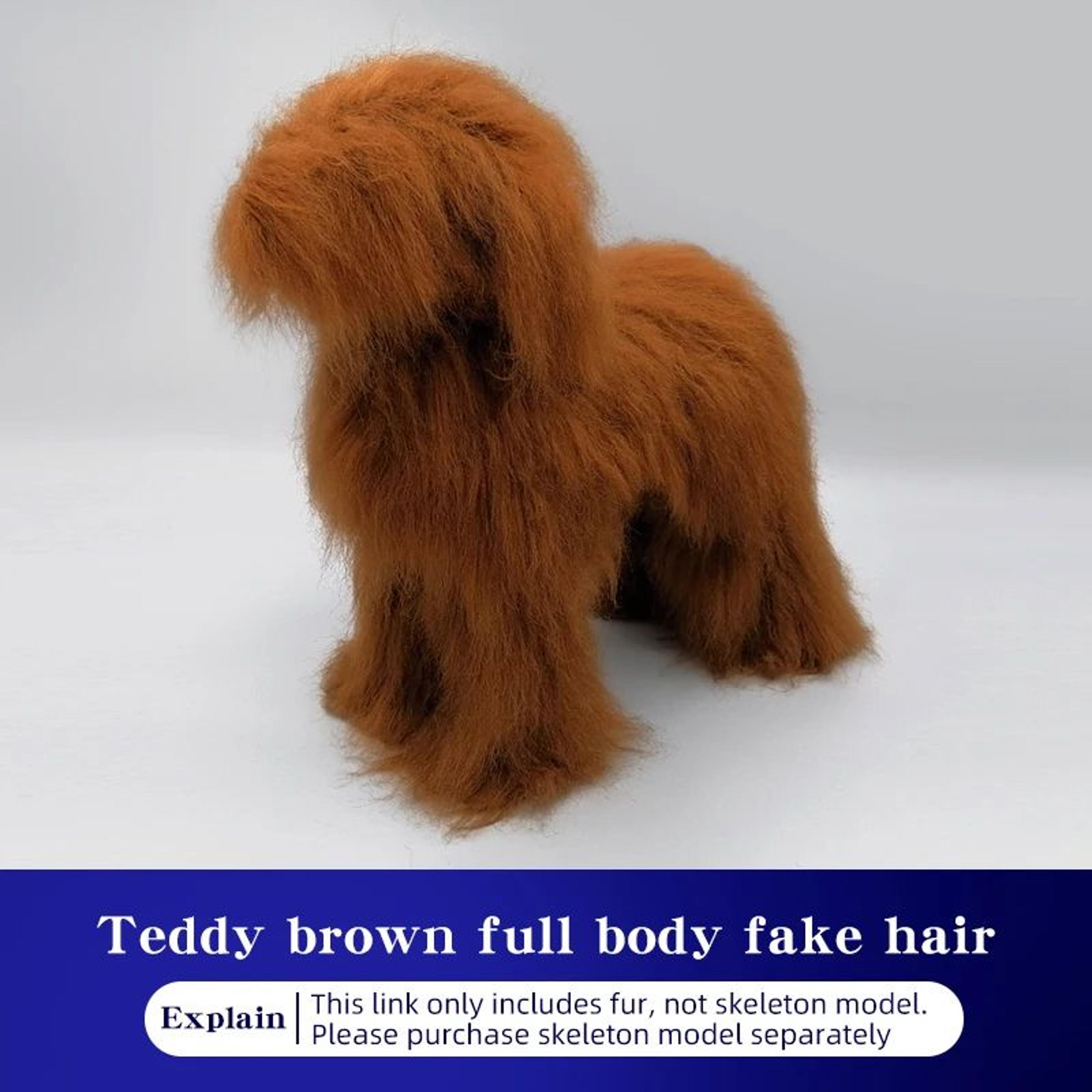 Professional Teddy Dog Grooming Practice Mannequin For Pet Groomer Training 7
