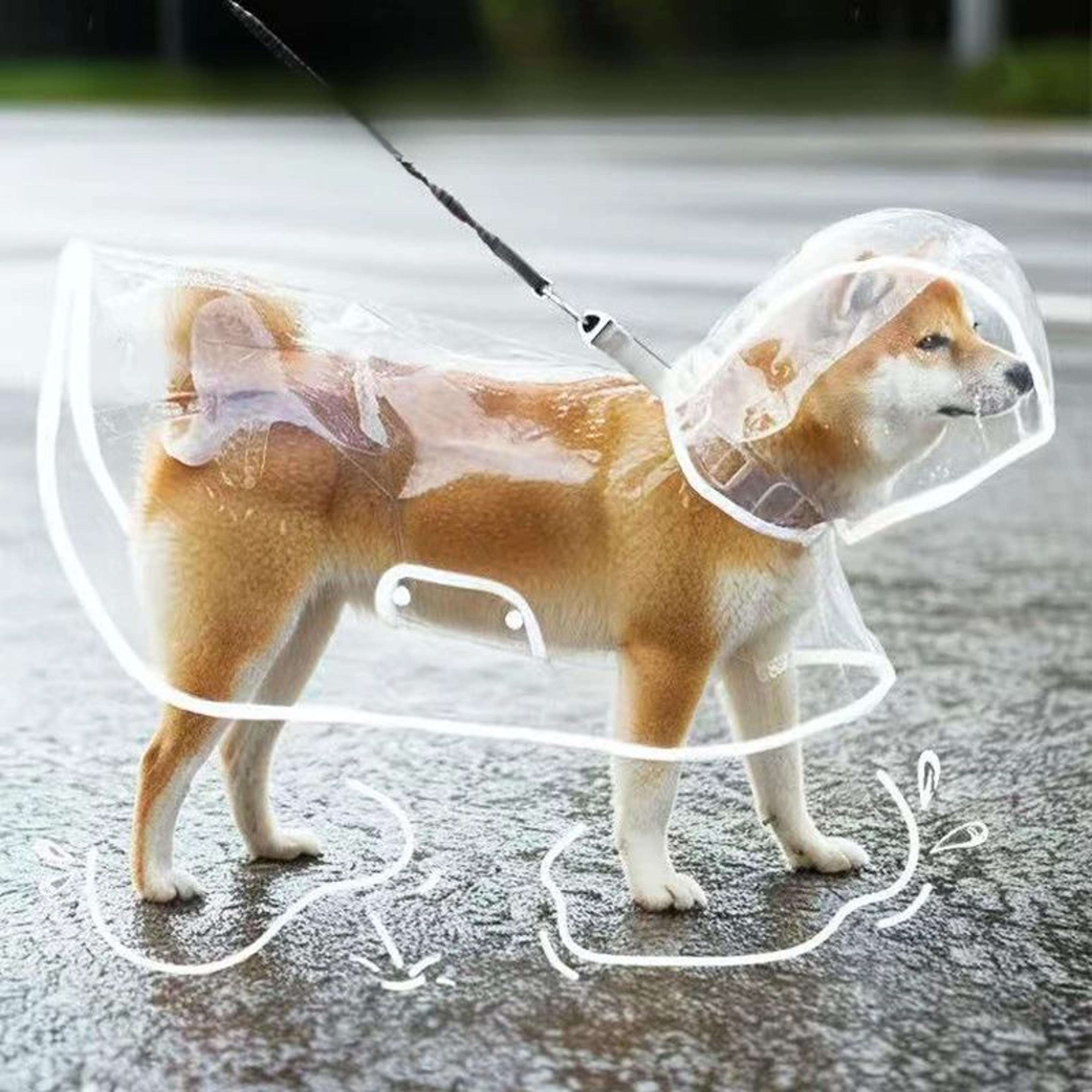 ClearShield Waterproof Dog Raincoat 5