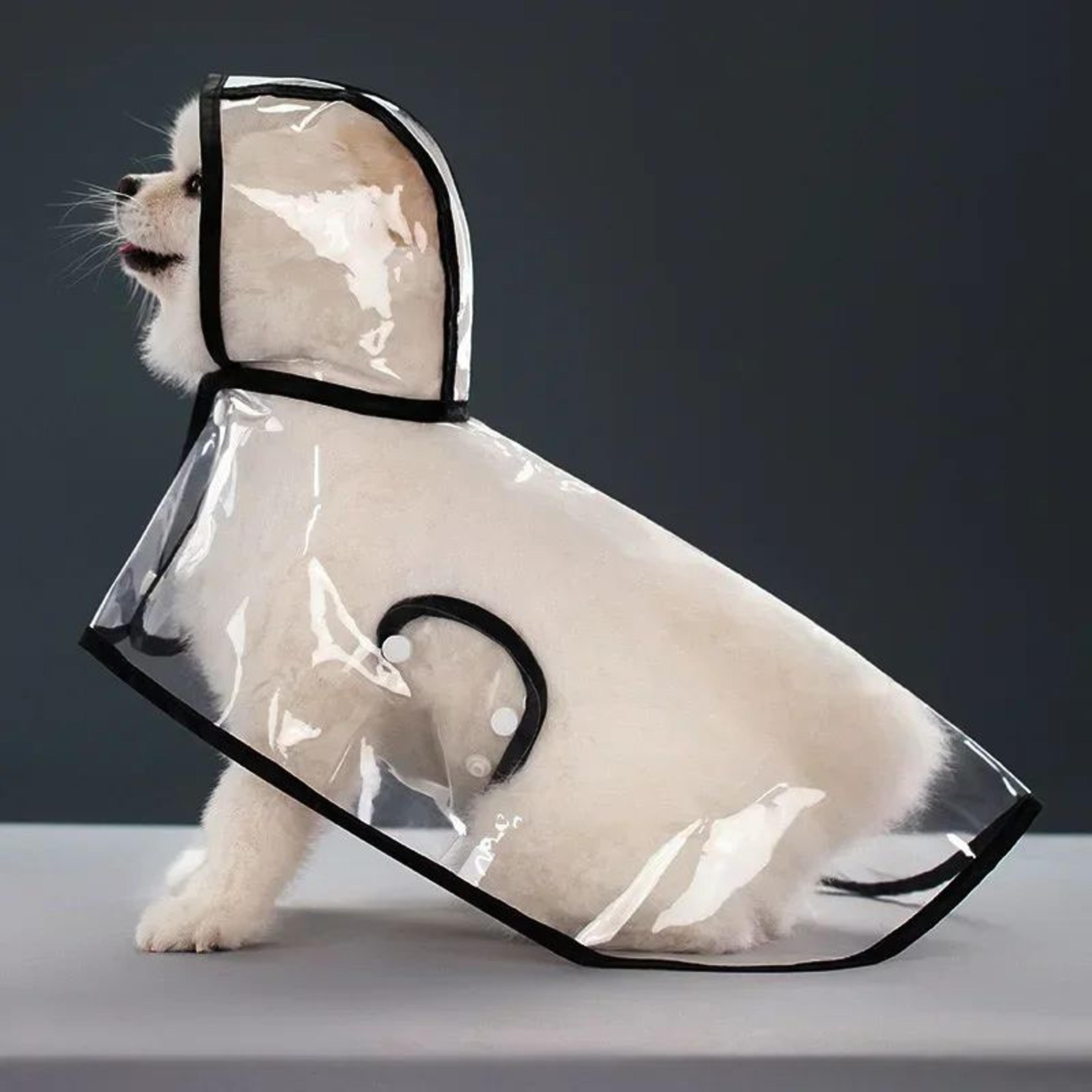 ClearShield Waterproof Dog Raincoat 8