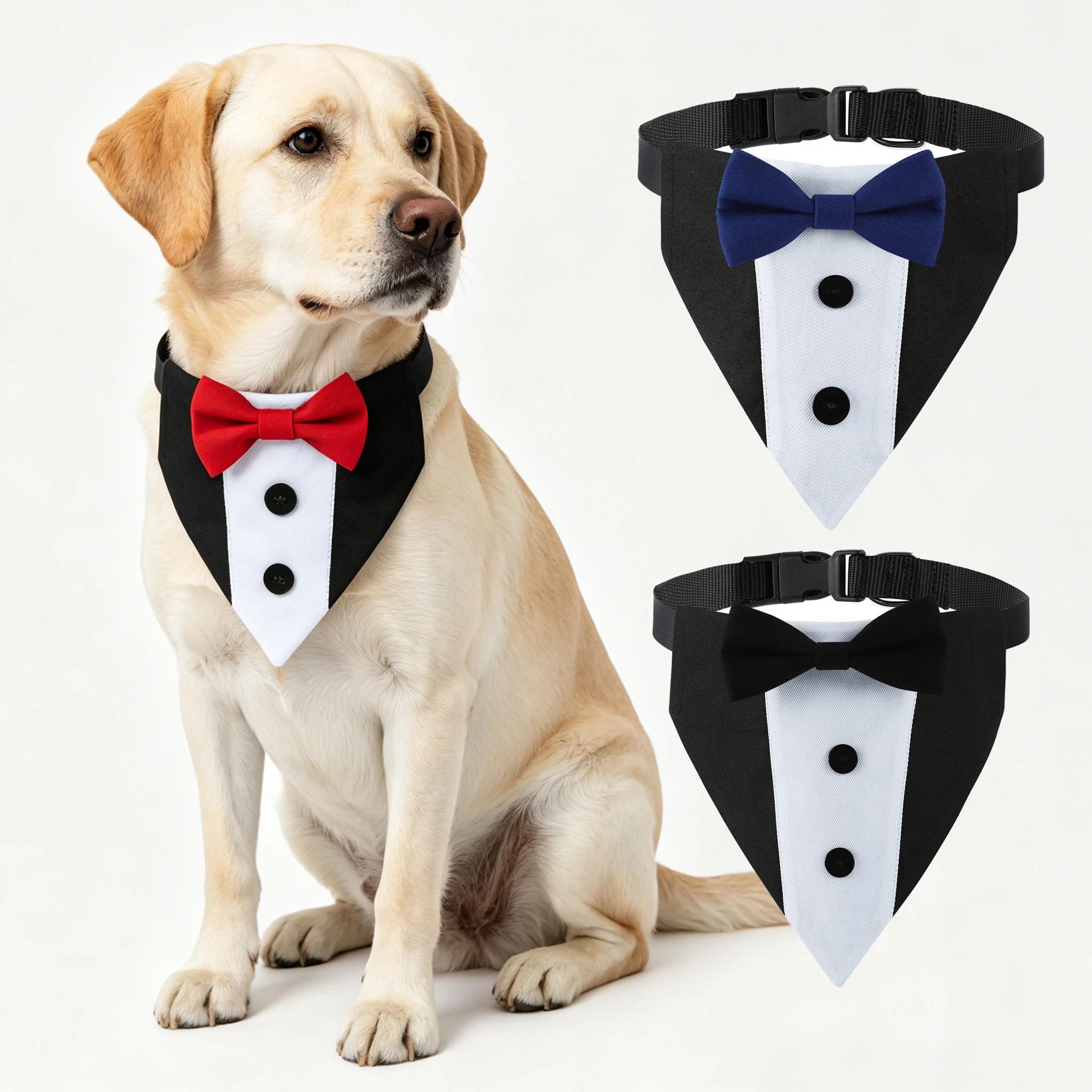 elegant pet wedding collar with bow tie bandana