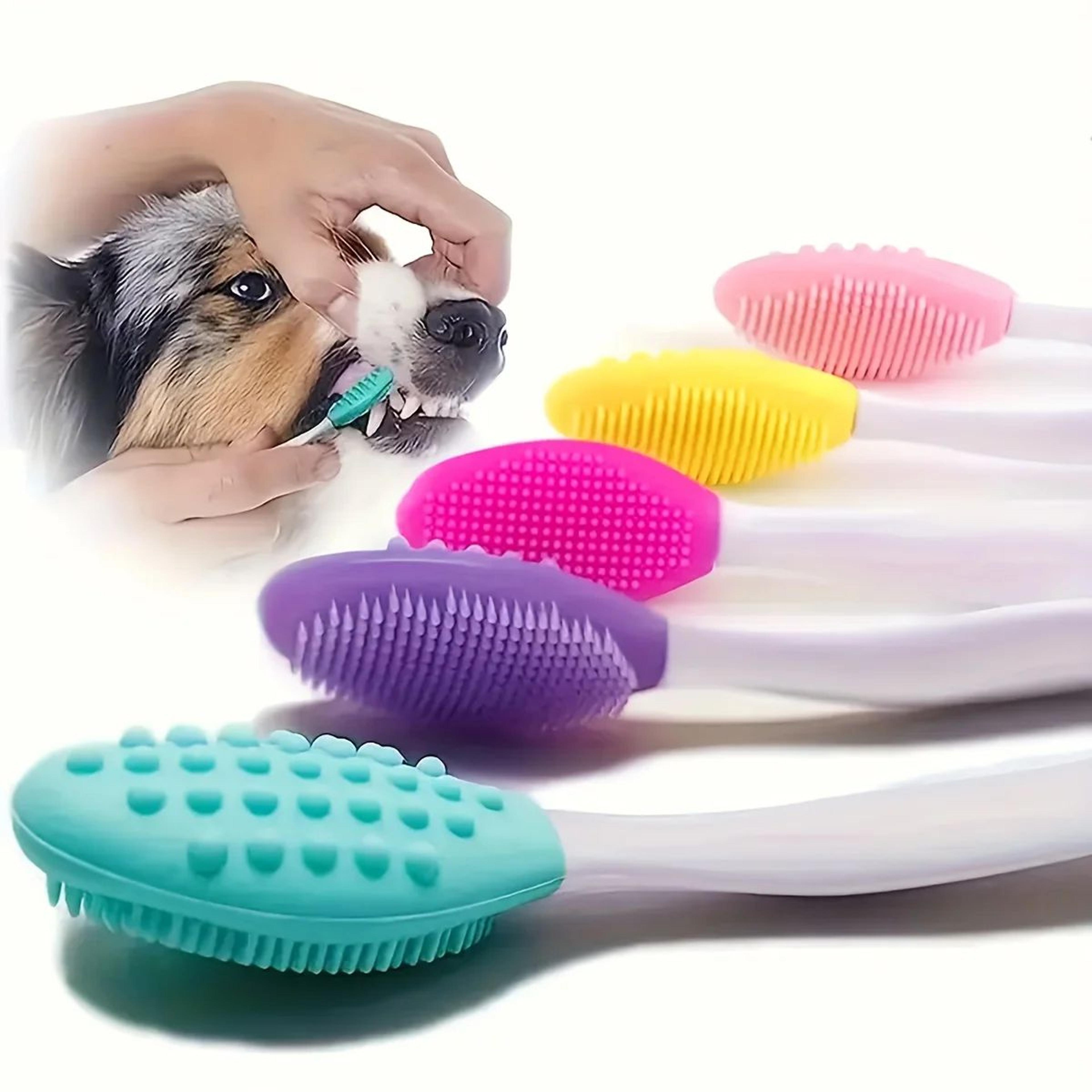 Double Sided Dog Toothbrush Set For Pet Teeth Cleaning 2