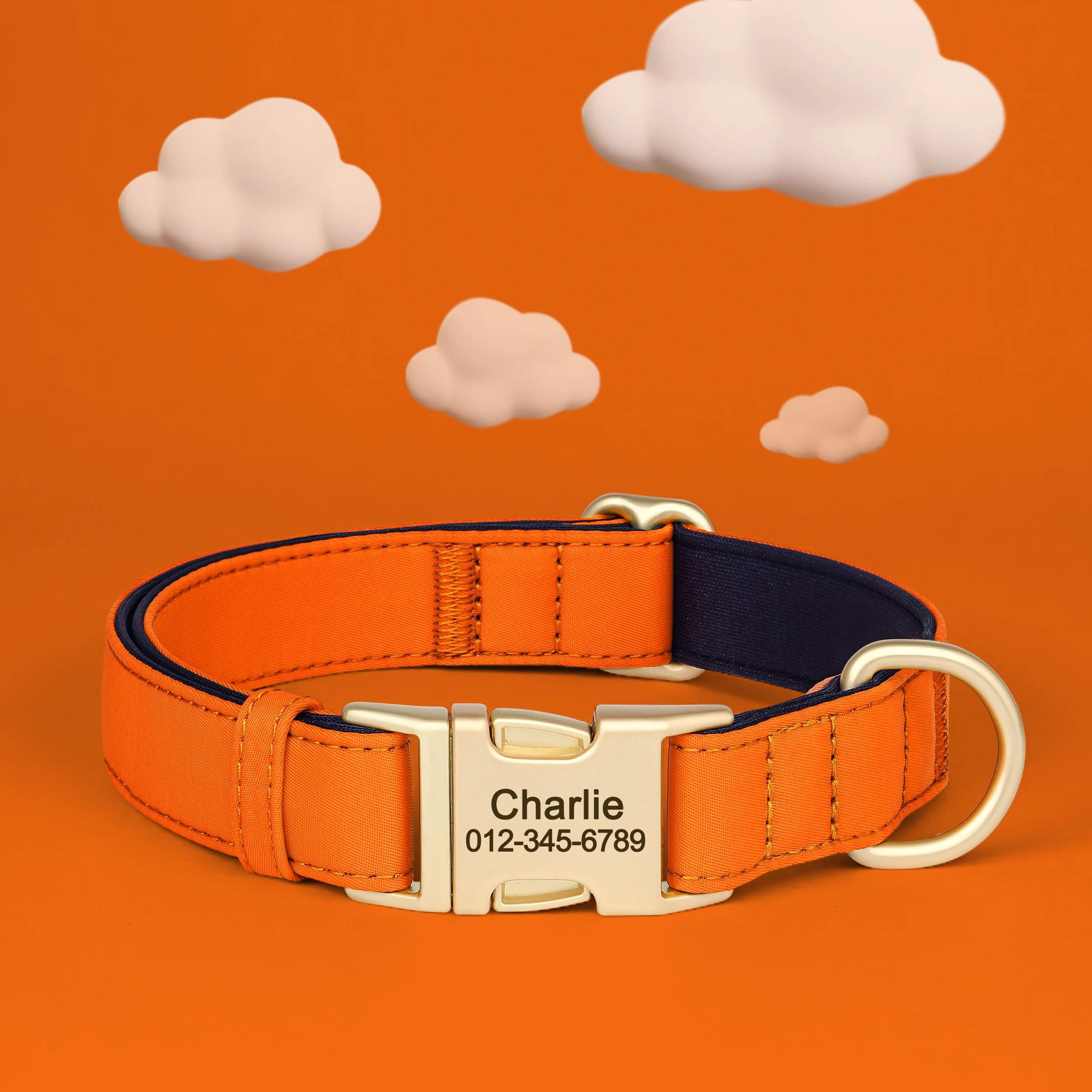Personalized Waterproof Dog Collar With Soft Padding 3