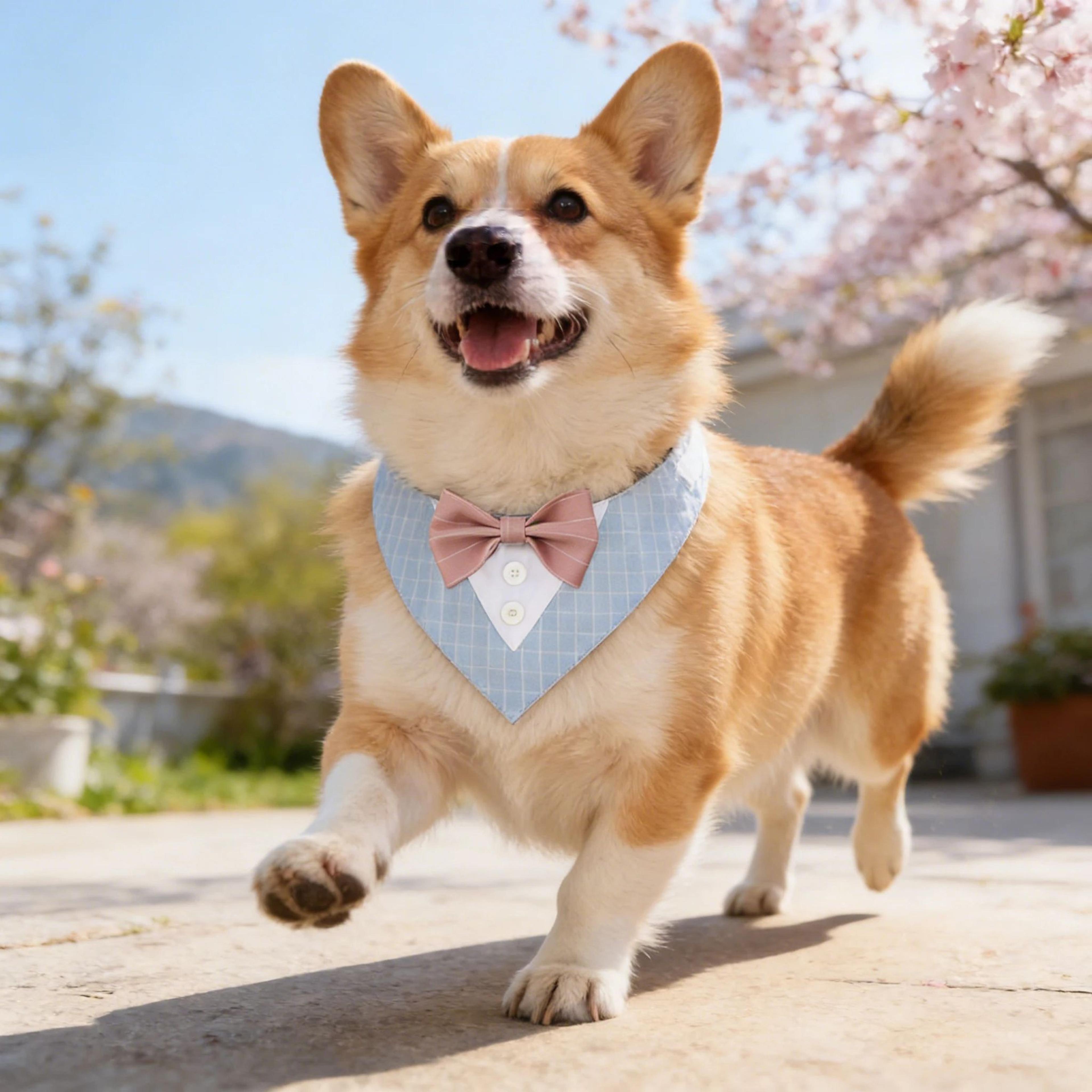 Sucado Wedding Tuxedo Dog Bandana Adjustable Pet Scarf For Parties And Events 3