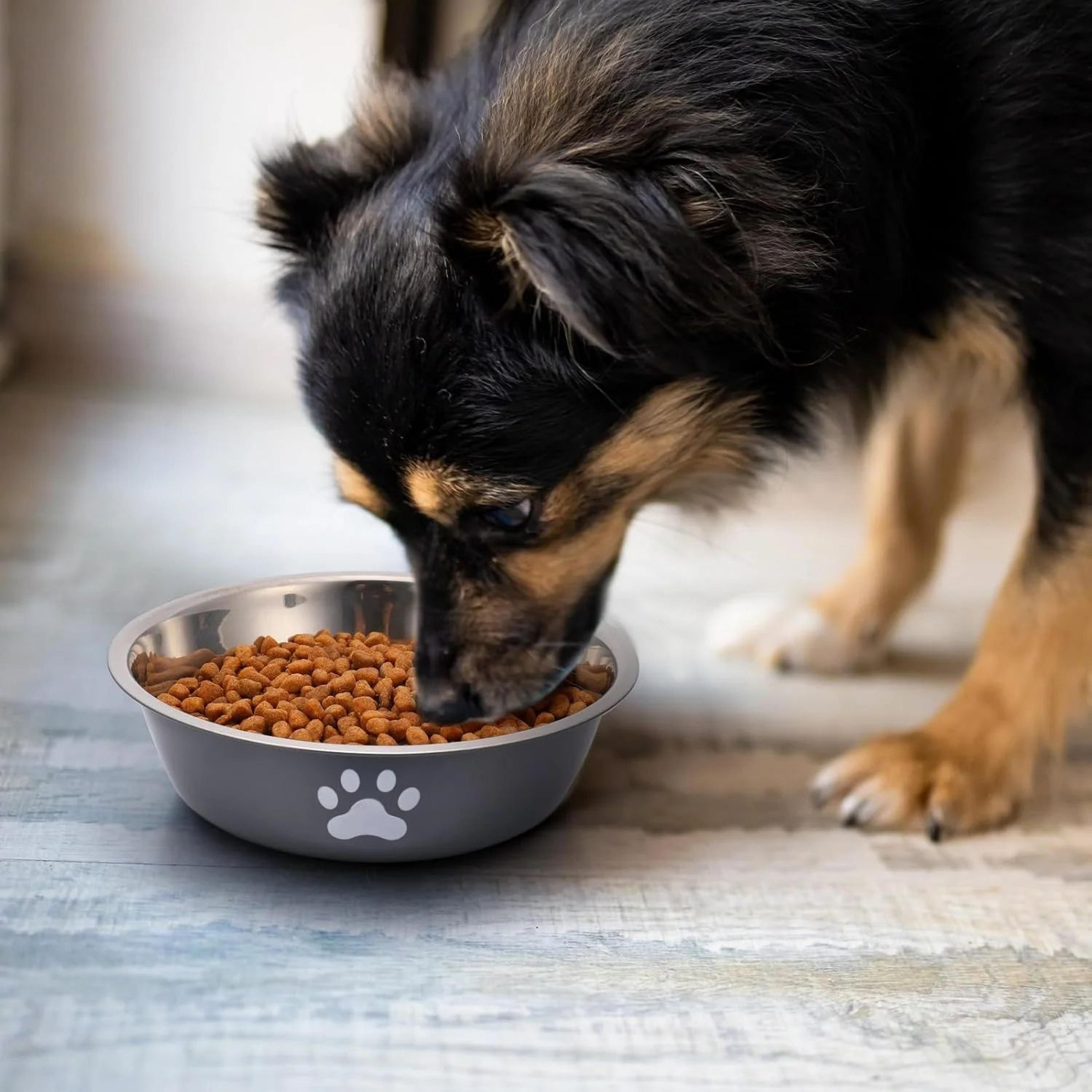 Stainless Steel Dog Food And Water Bowl With Non Slip Silicone Base 2
