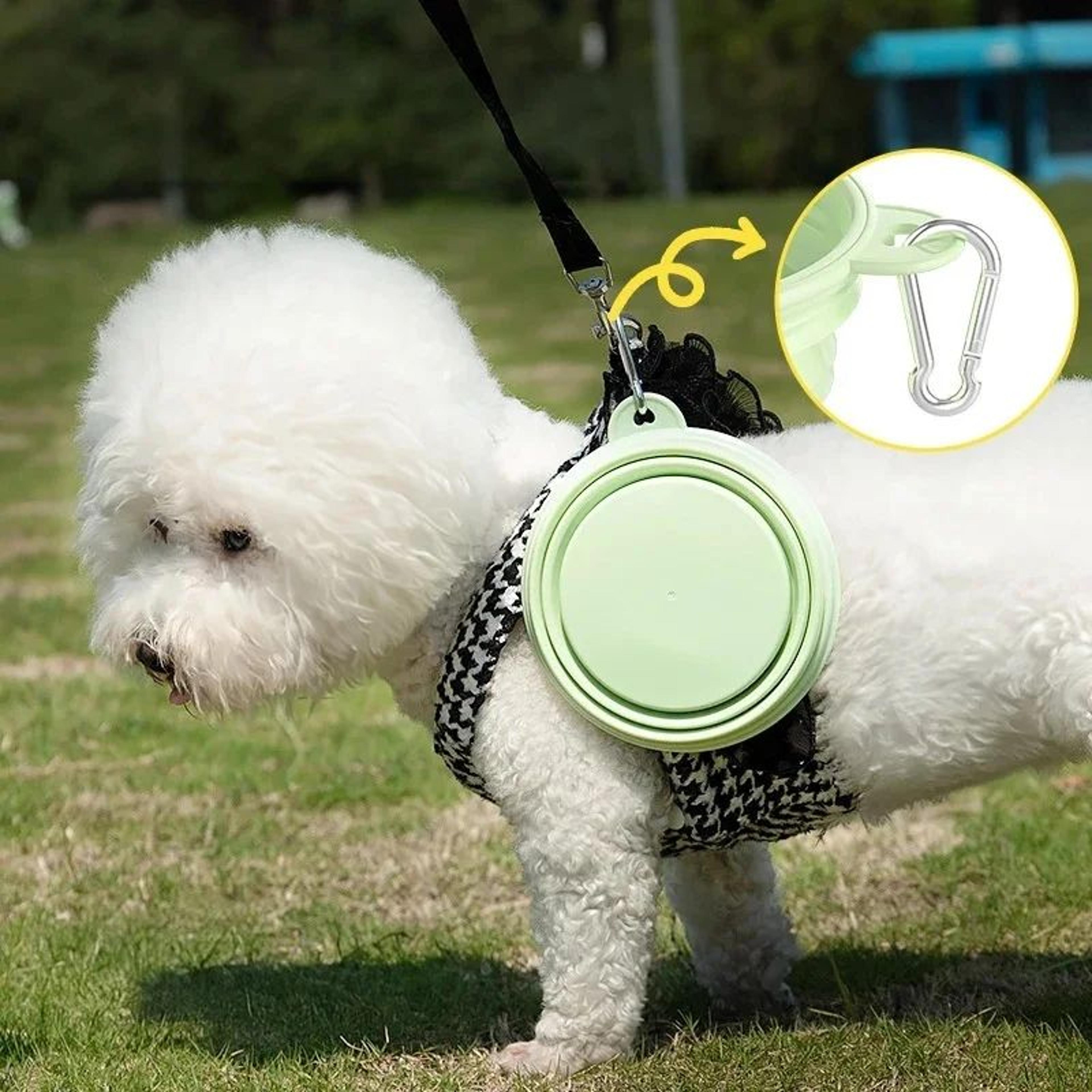 Collapsible Silicone Dog Bowl Portable Travel Food And Water Container 1