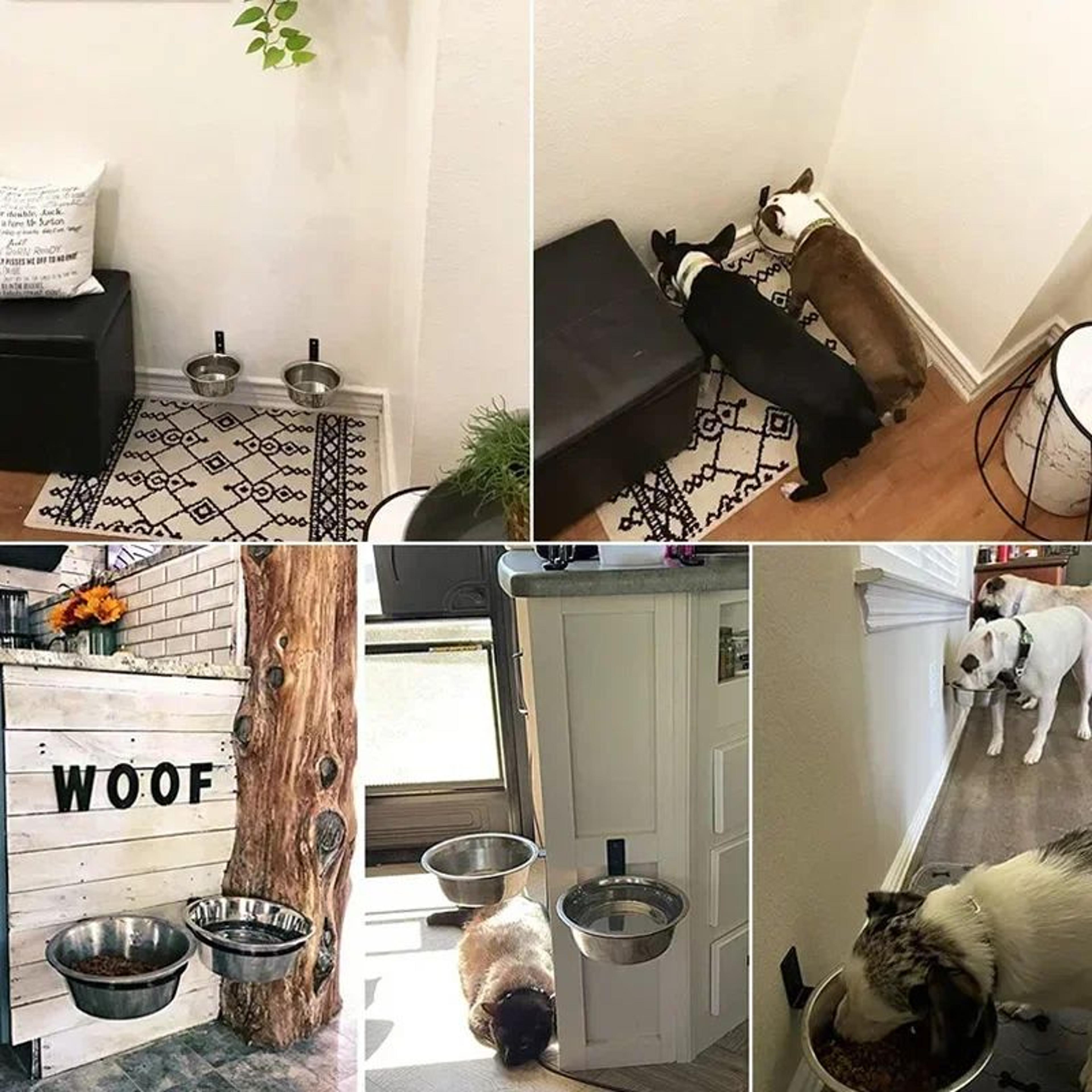 wall mounted elevated pet feeding bowl stainless steel dog and cat feeder