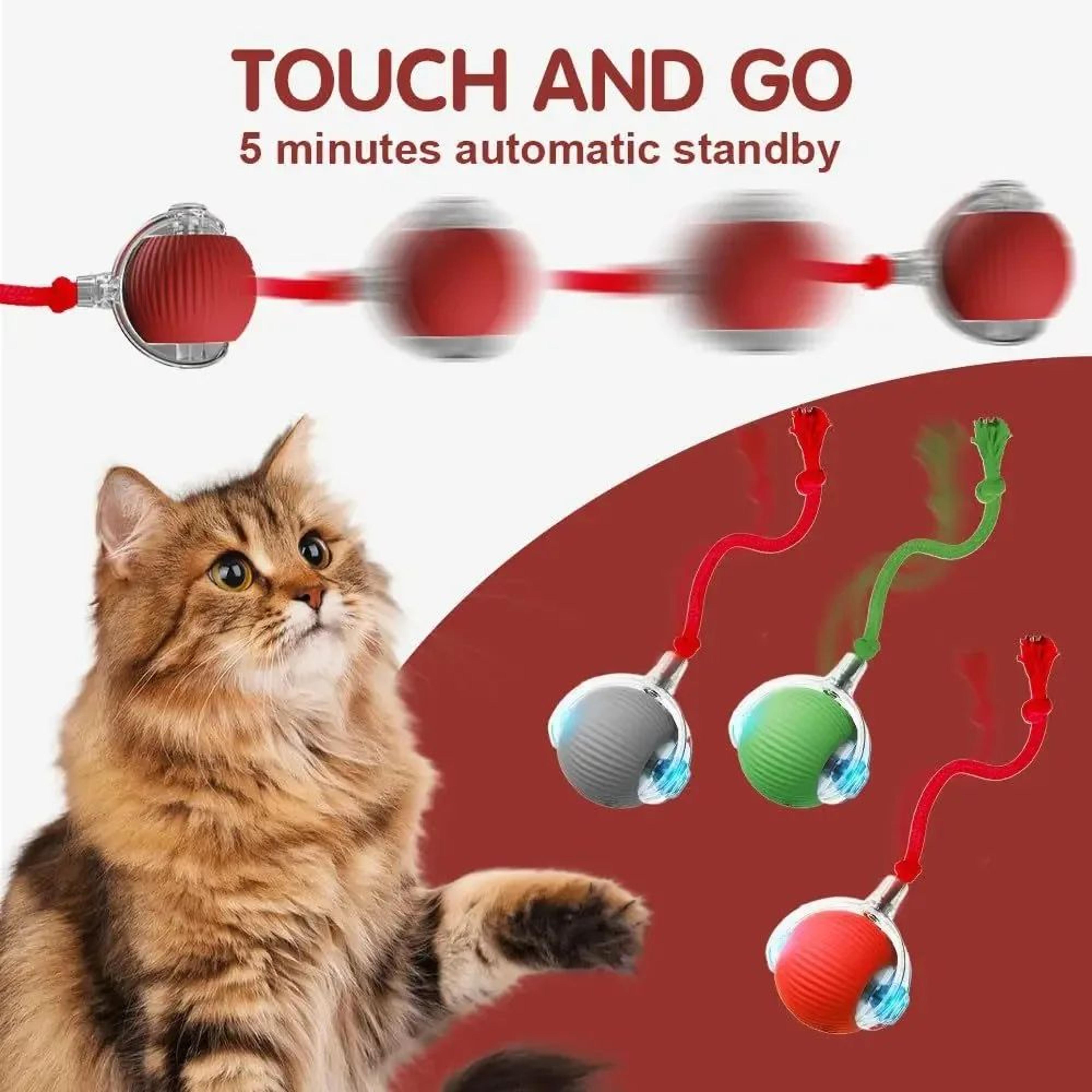 RolliePaws Smart Interactive Cat Ball Toy 5