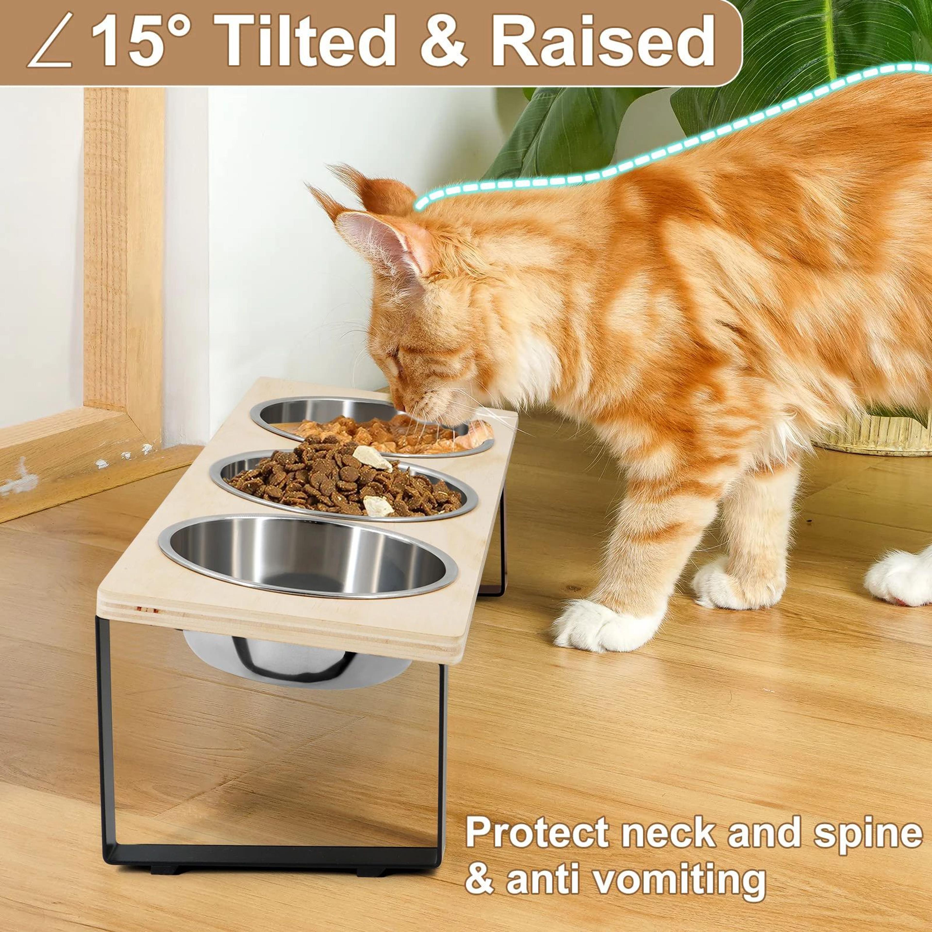 ComfortTilt Elevated Cat Bowls Set 1