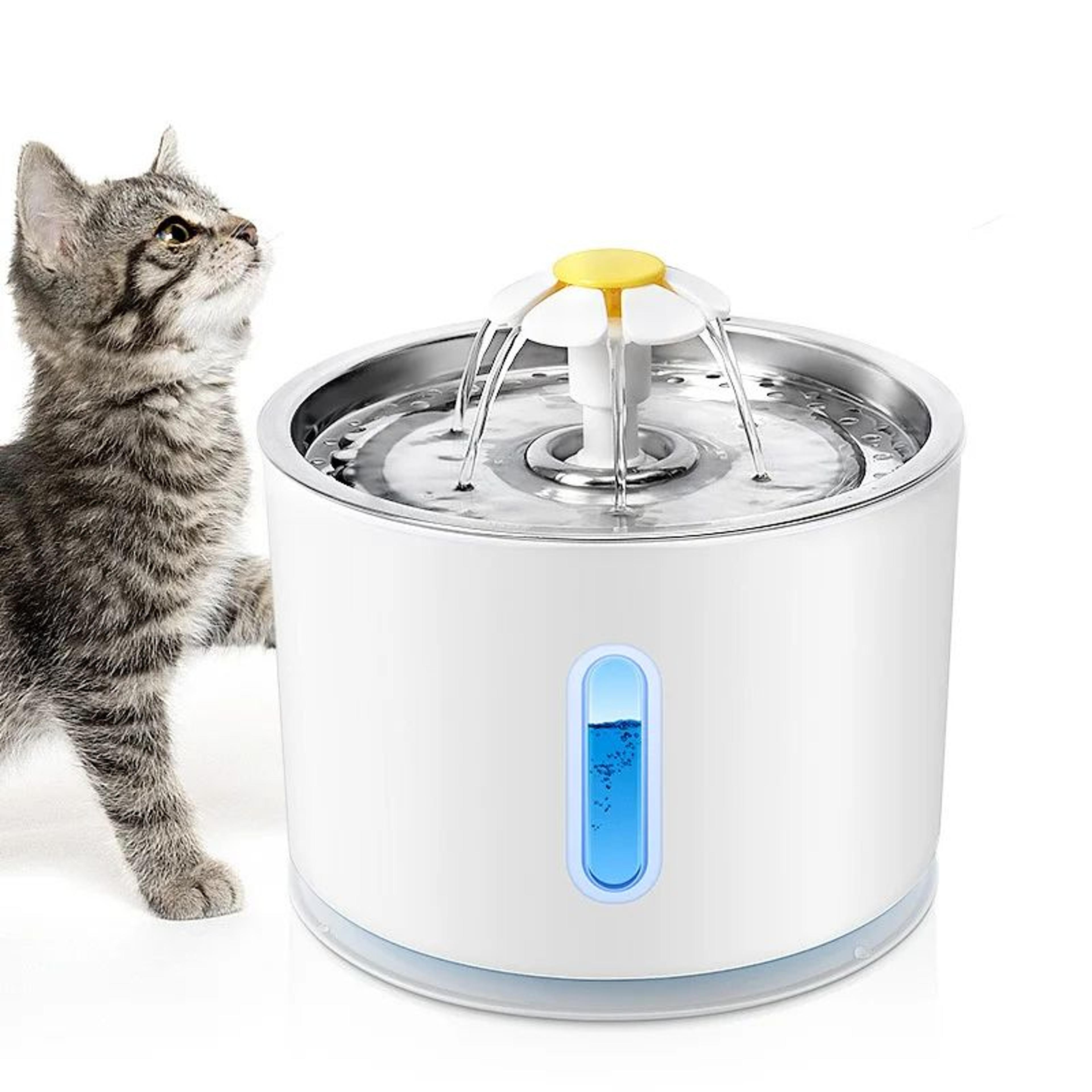 pureflow stainless steel cat water fountain