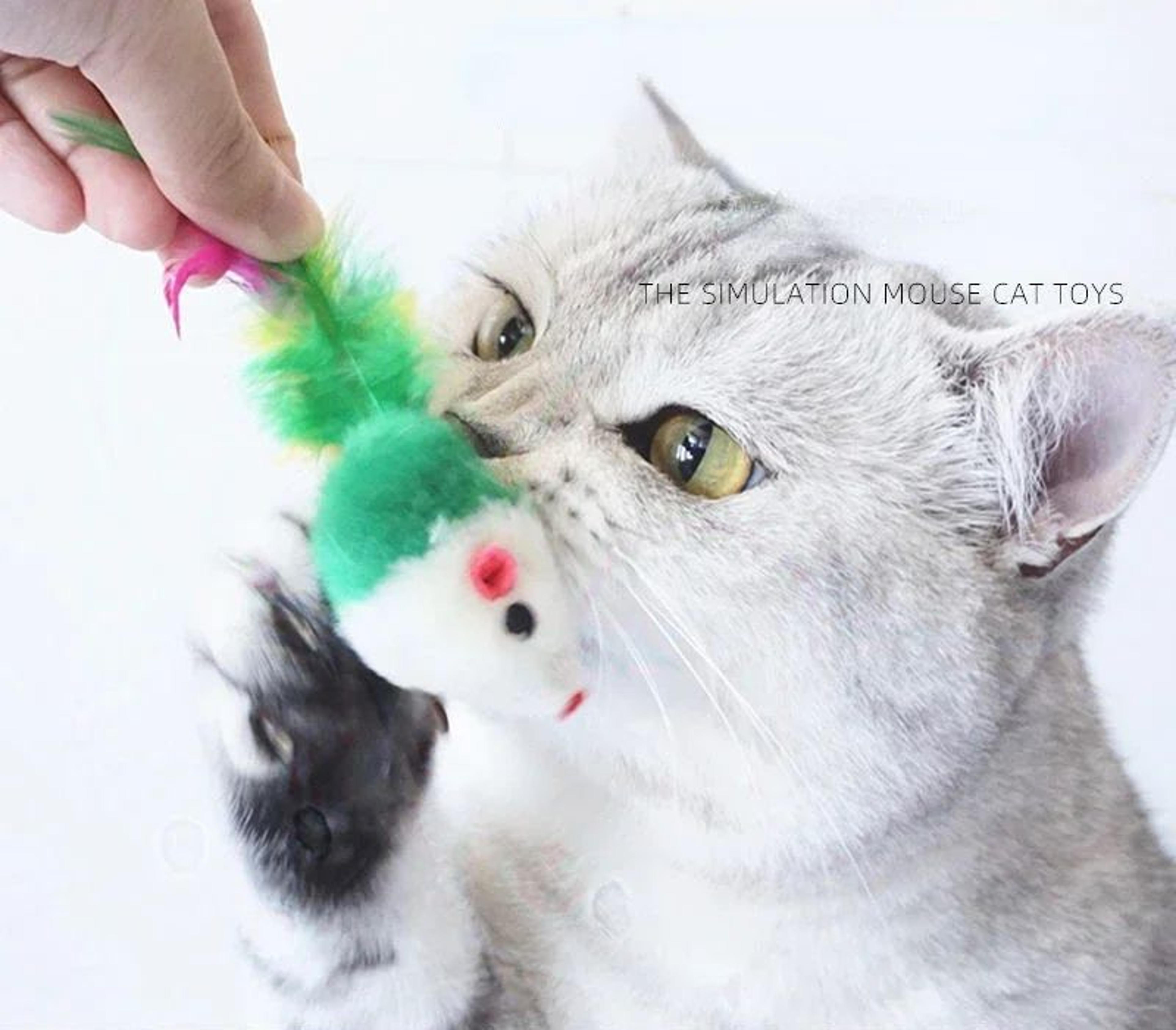 FeatherPounce Mouse Cat Toy Set 0