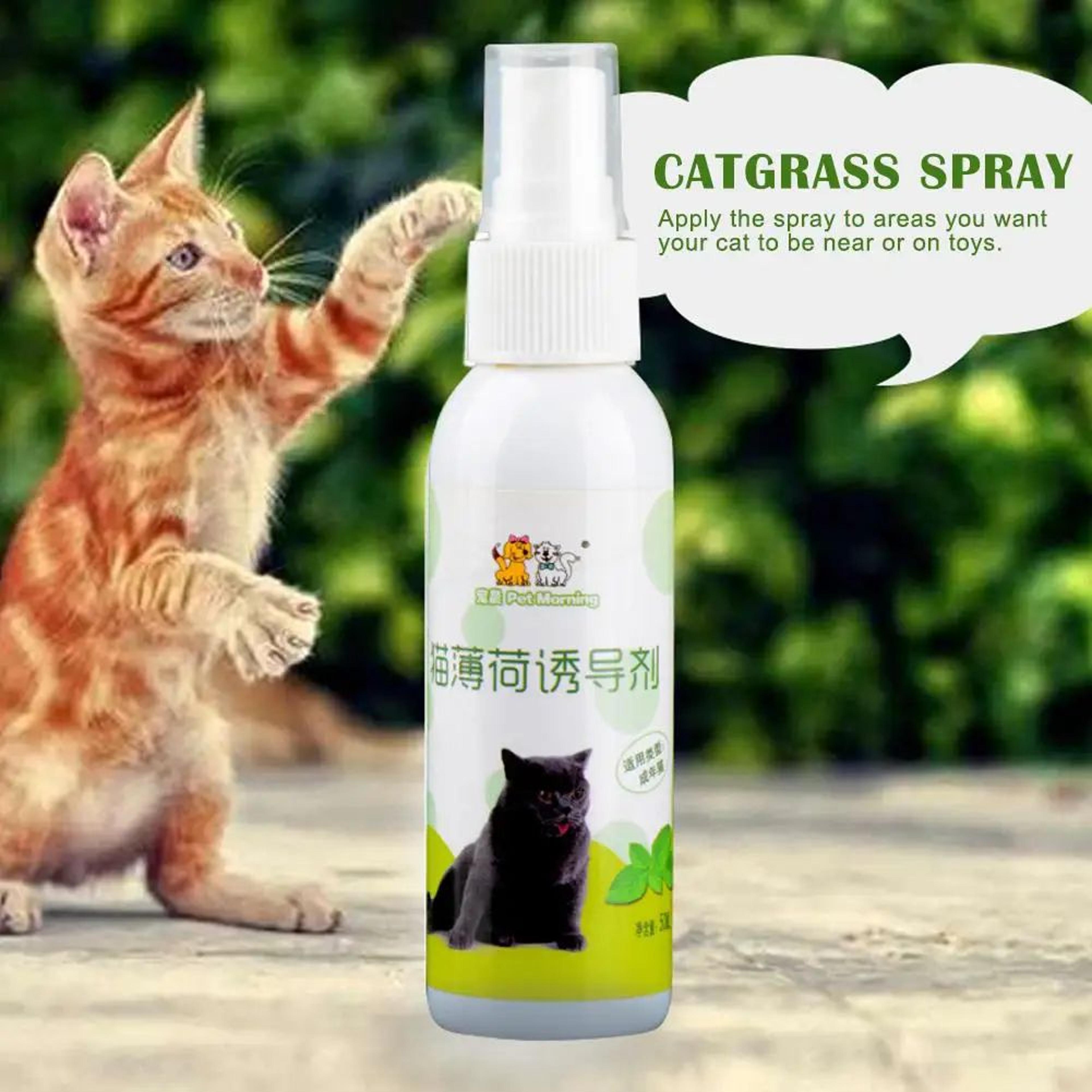 PurrFresh Natural Catnip Spray For Cats 4