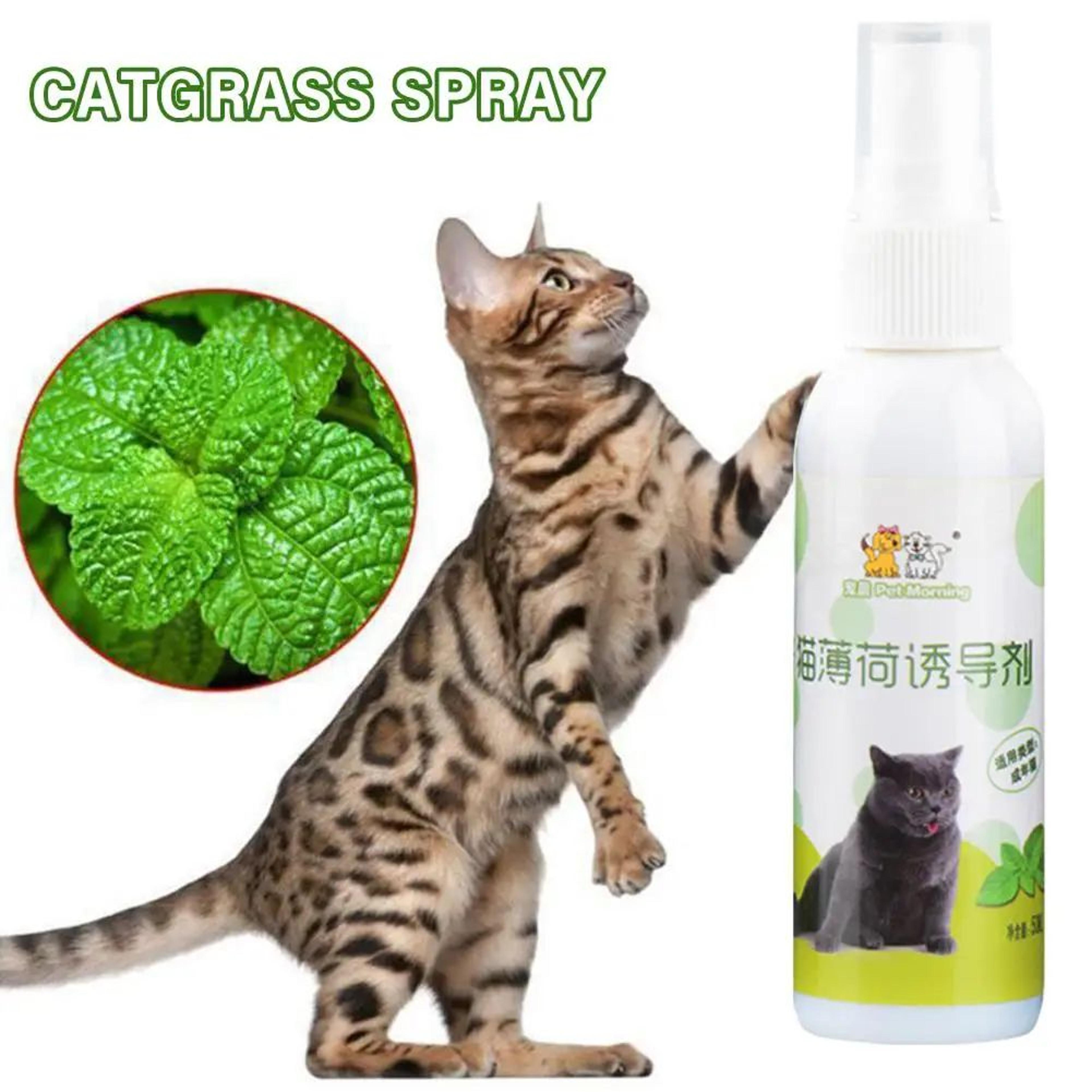 PurrFresh Natural Catnip Spray For Cats 5