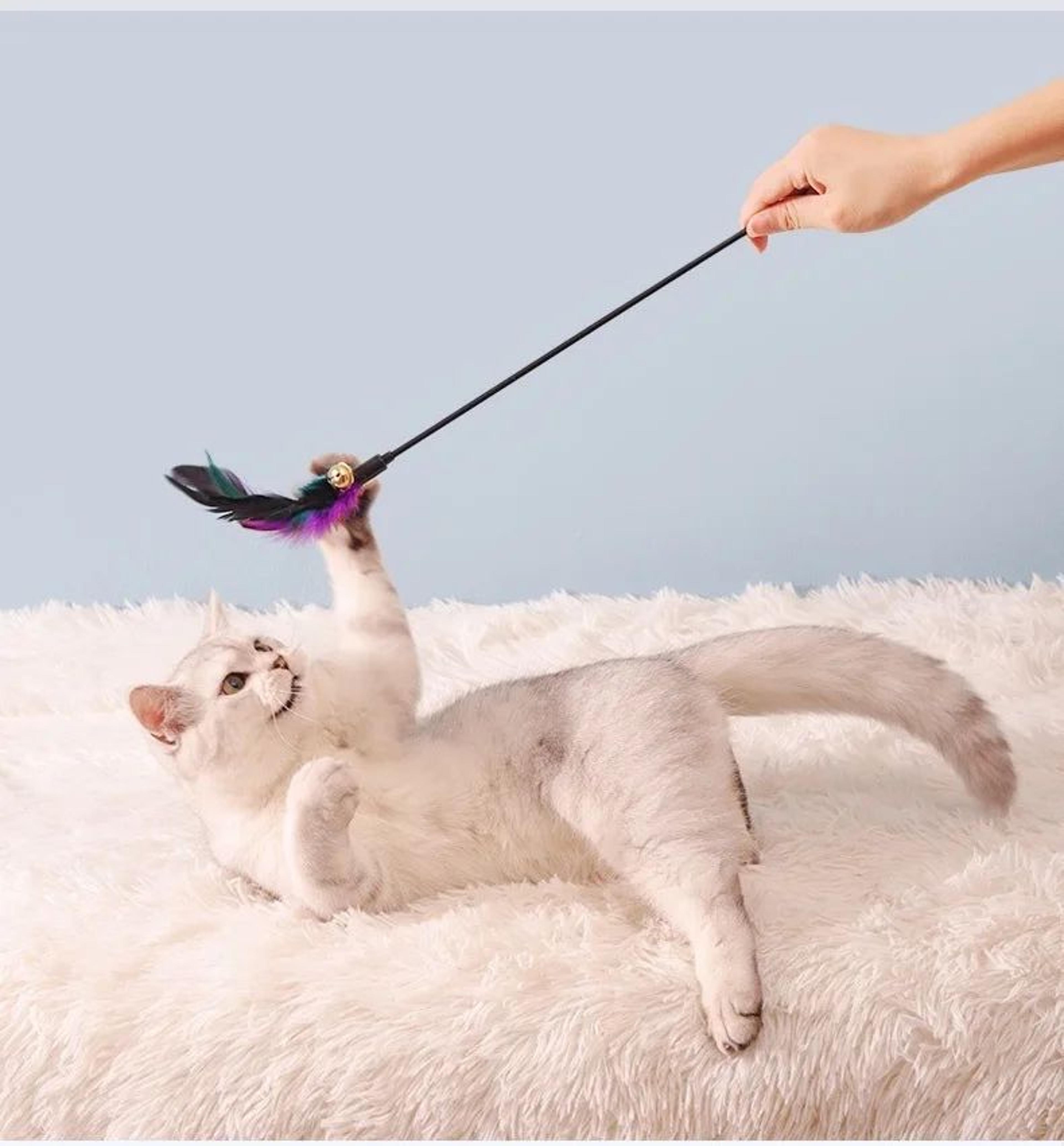 FeatherChase Interactive Cat Wand Toy Set 3