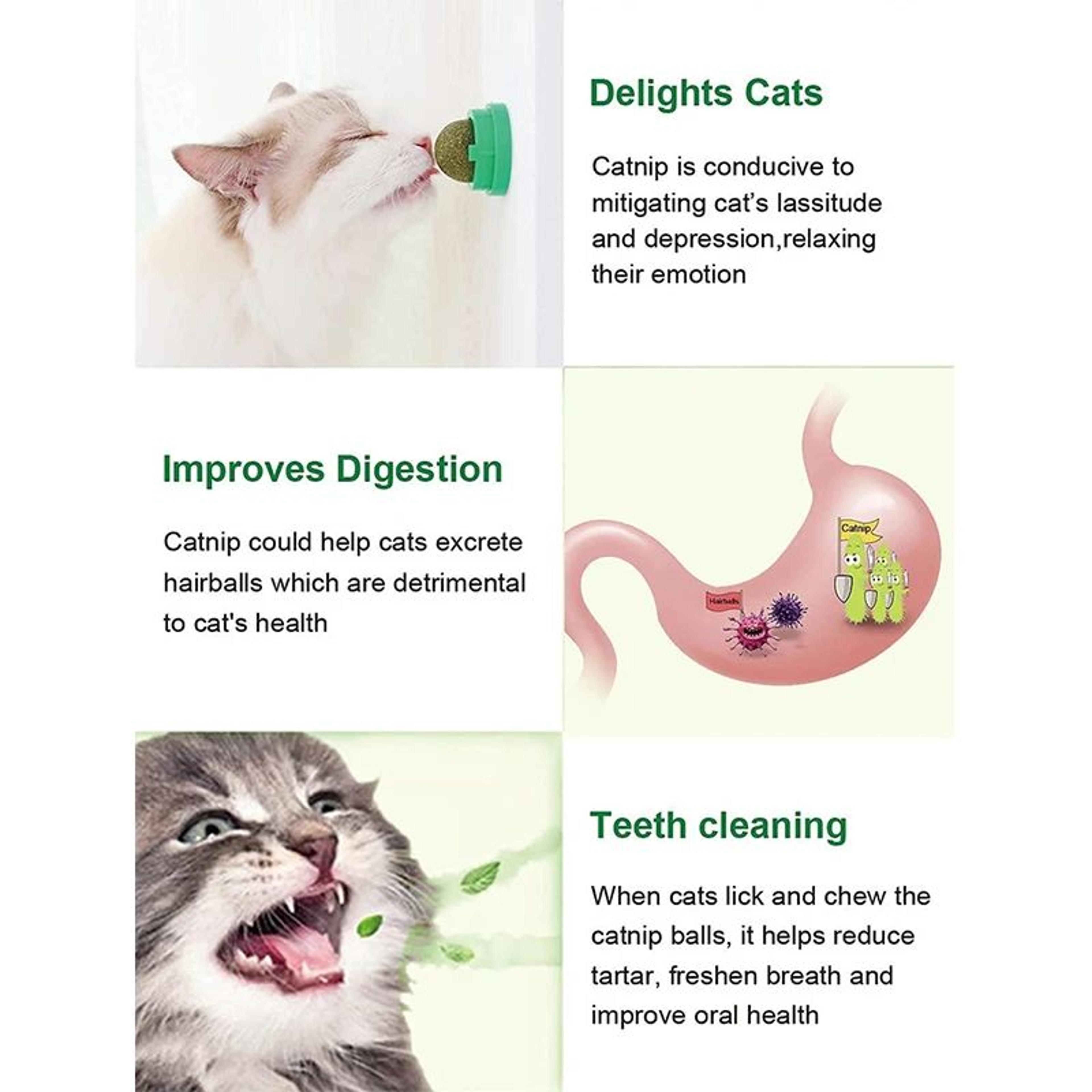 MintMunch Lickable Catnip Ball Treat Toy 3