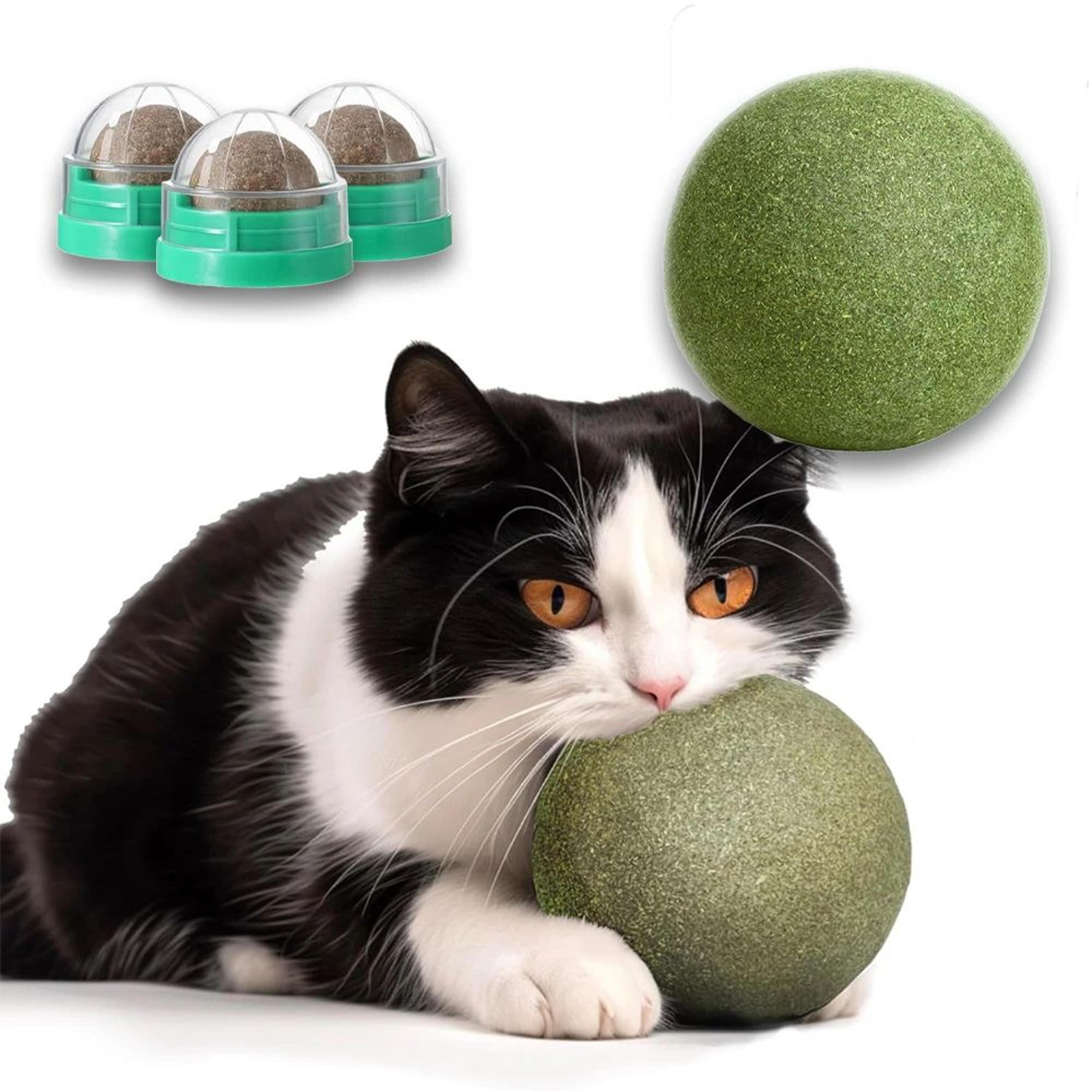 MintMunch Lickable Catnip Ball Treat Toy 5