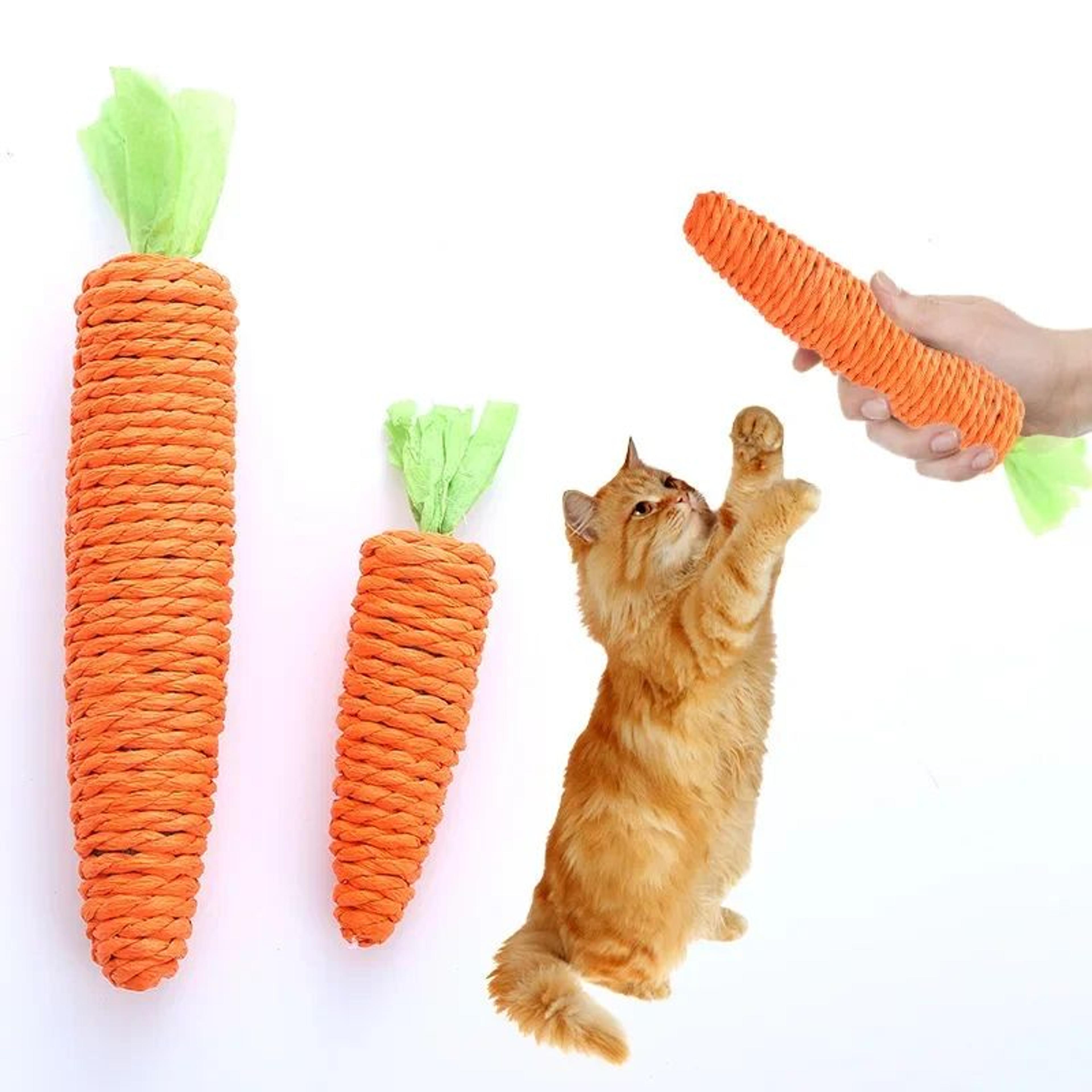 Carrot Crunch Interactive Cat Chew Toy 0
