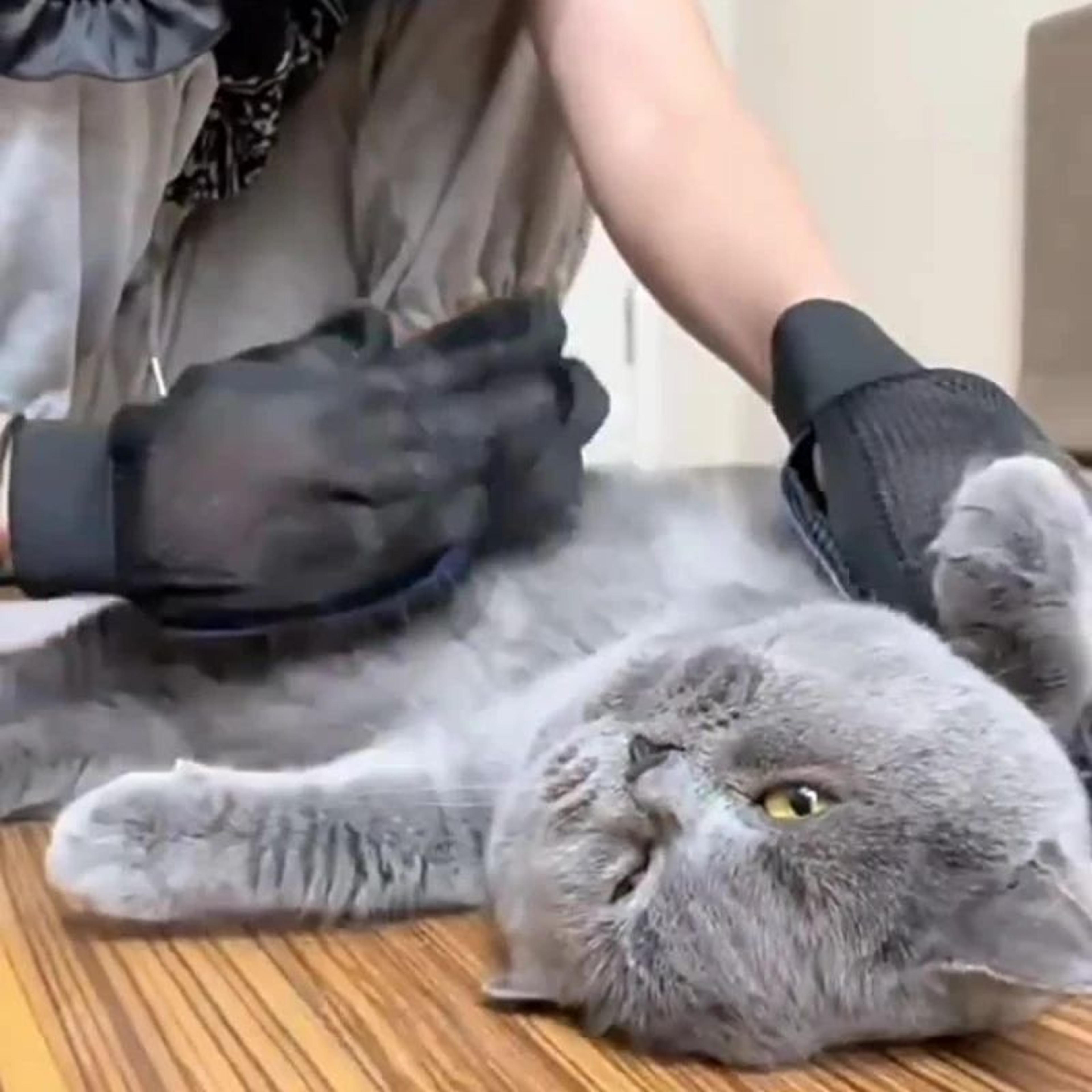 silkytouch pet grooming gloves for cats and dogs