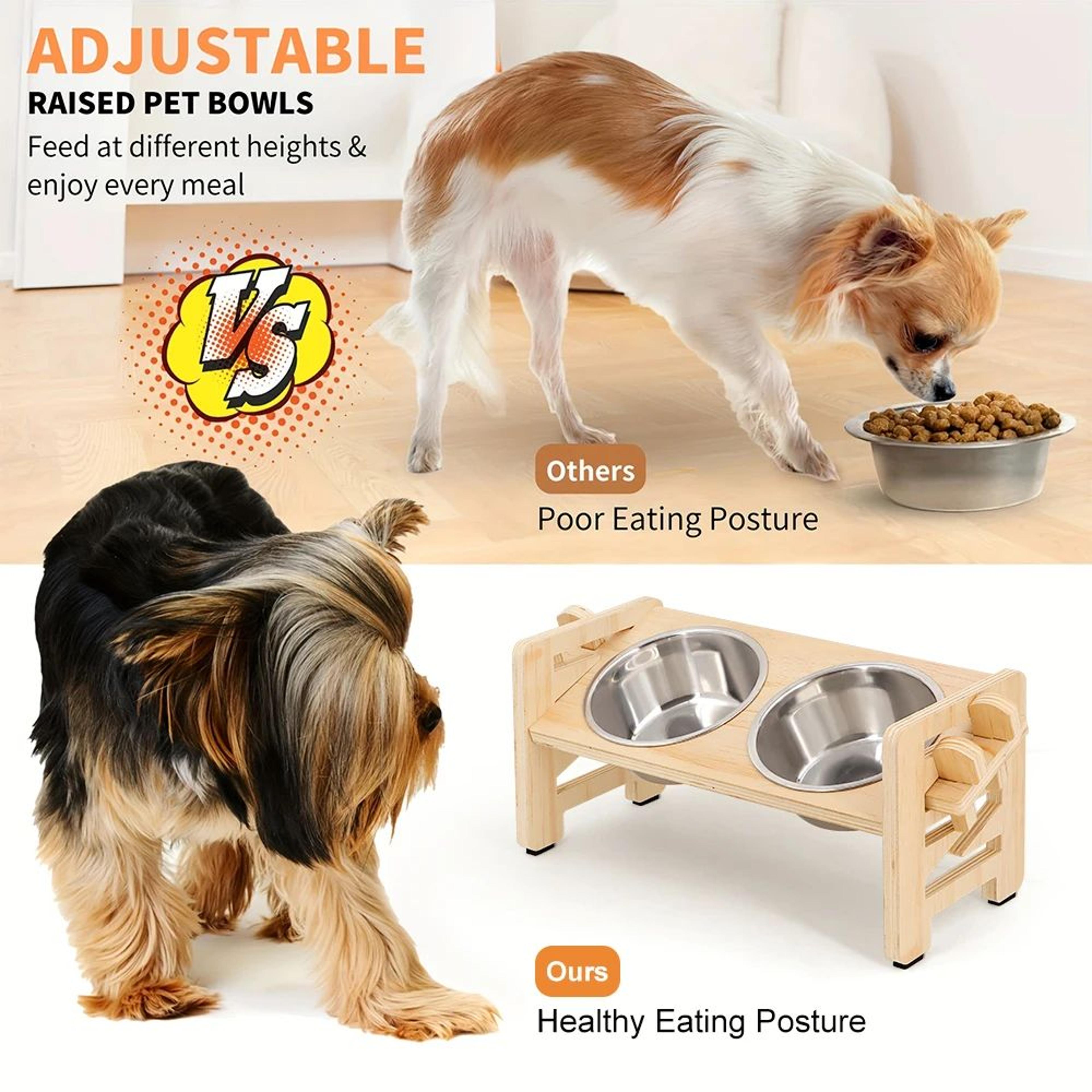 ComfortLift Adjustable Elevated Cat Bowl Stand 2