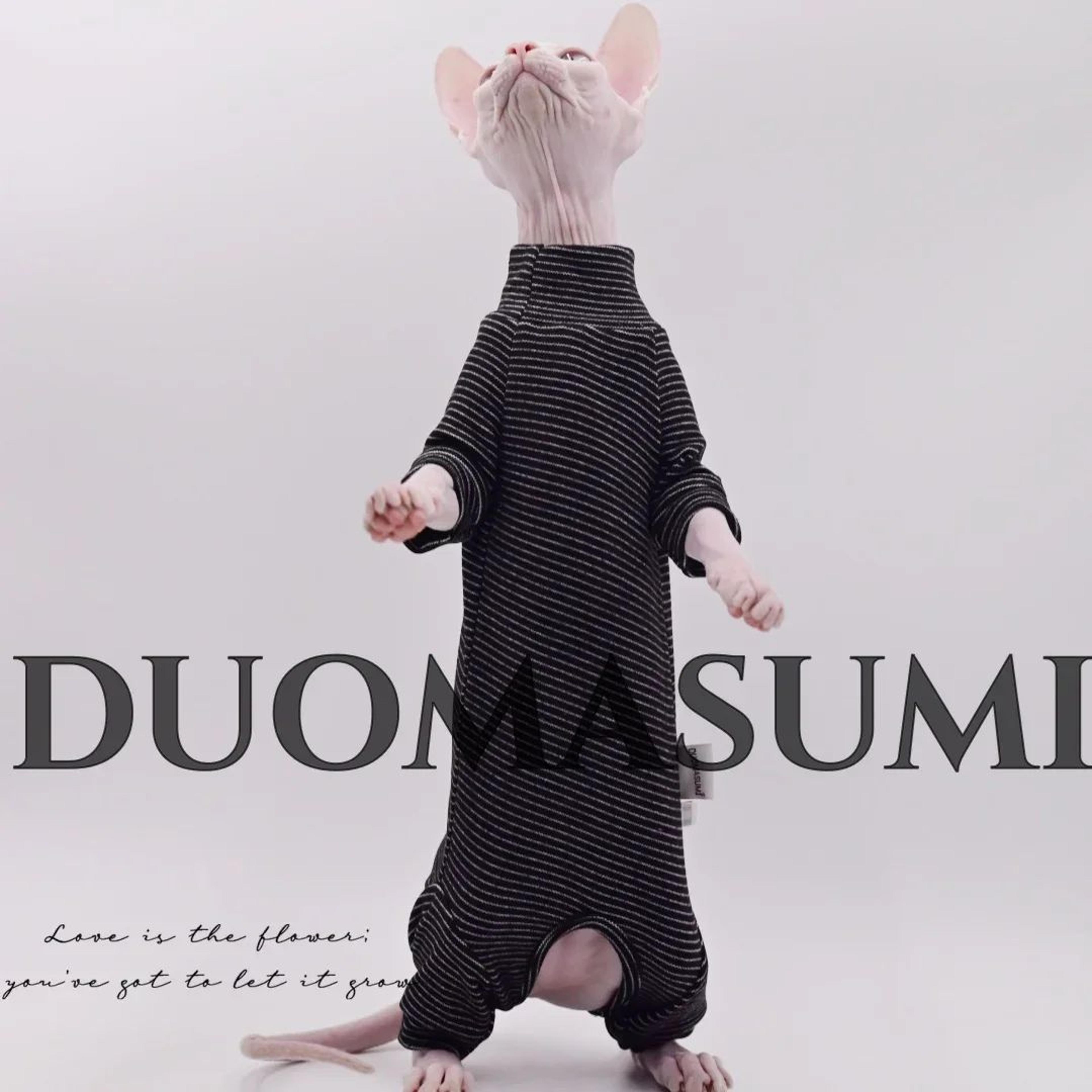 warmpurr cozy cat jacket for hairless cats