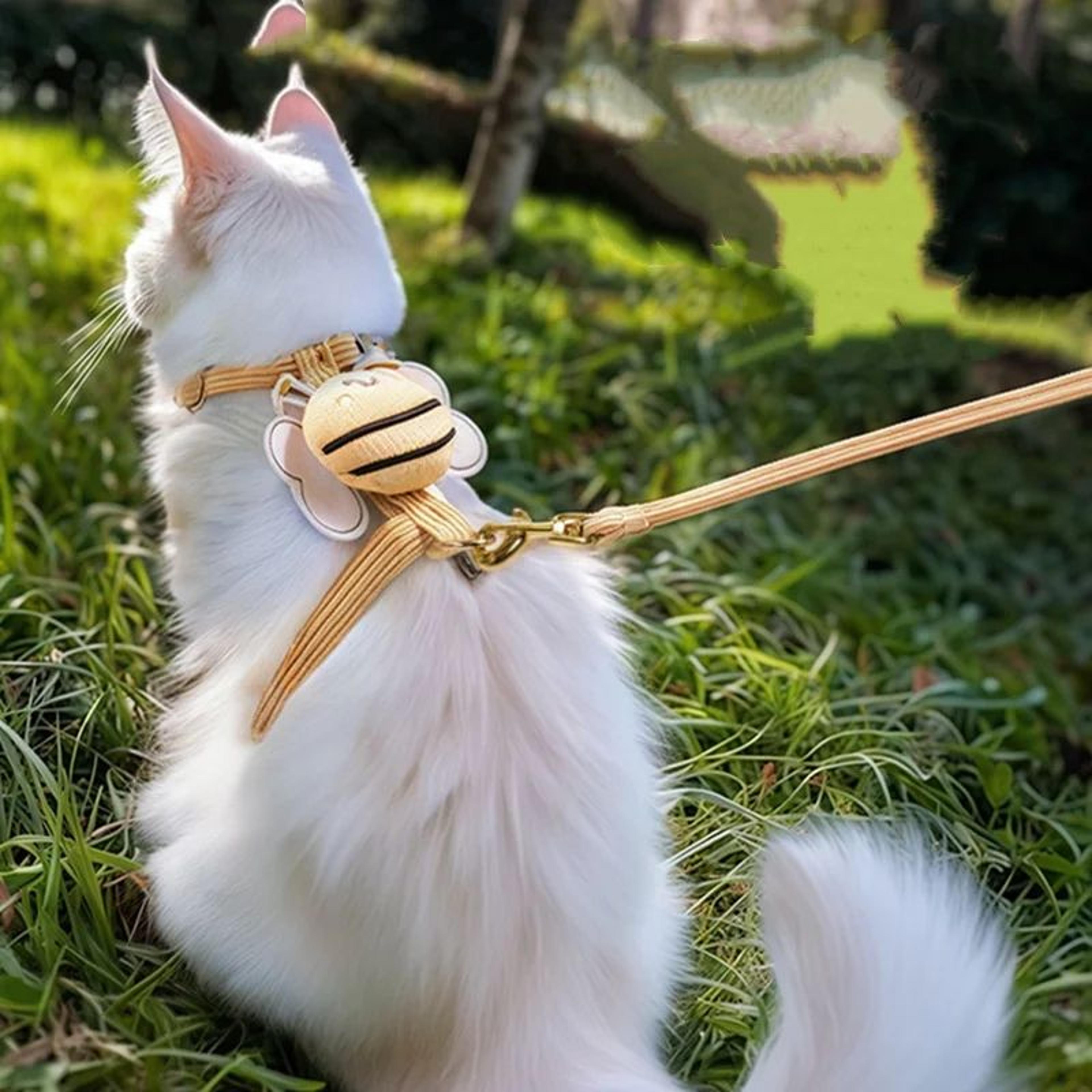 Comfort Fit Cat Harness And Leash Set For Small Pets 4