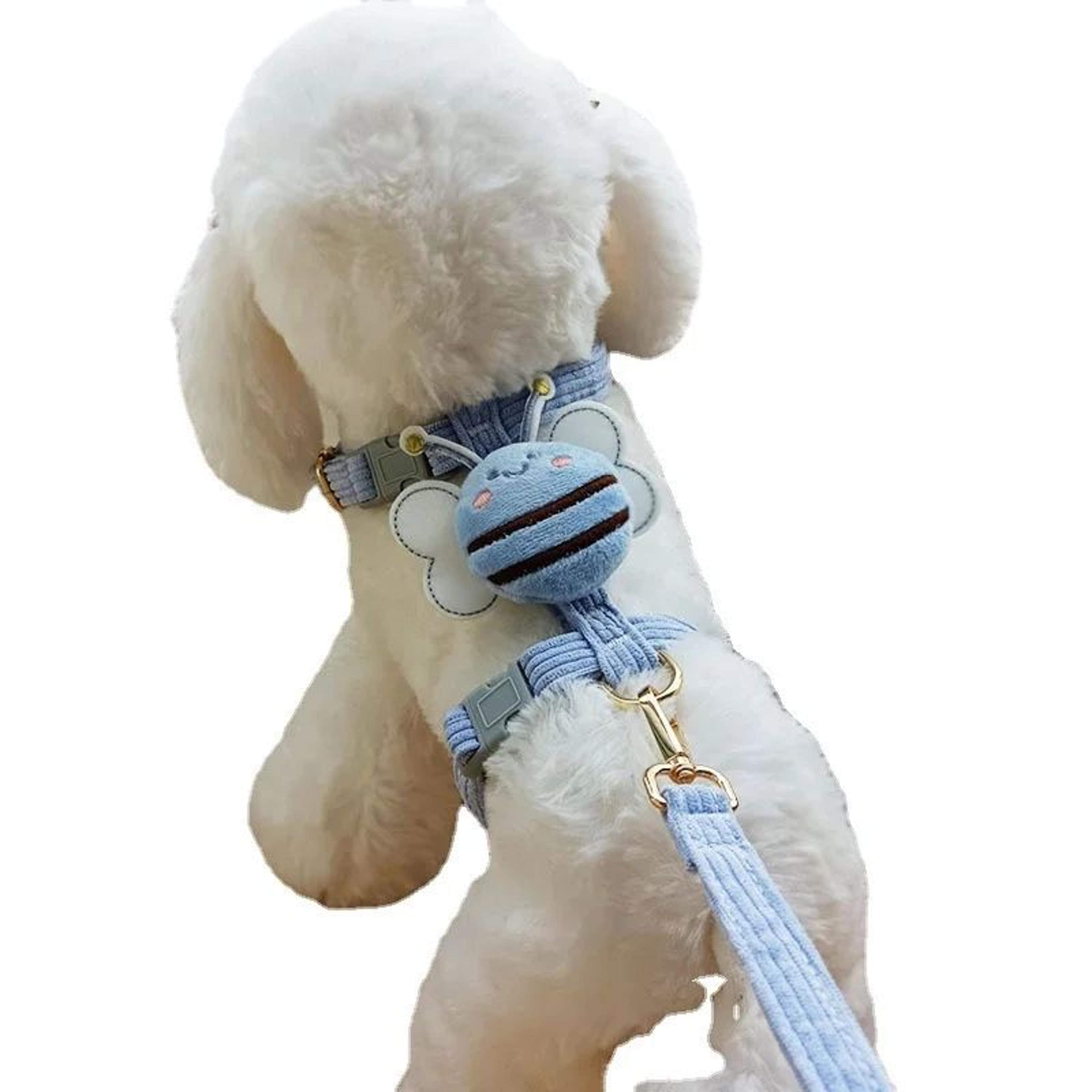 Comfort Fit Cat Harness And Leash Set For Small Pets 5