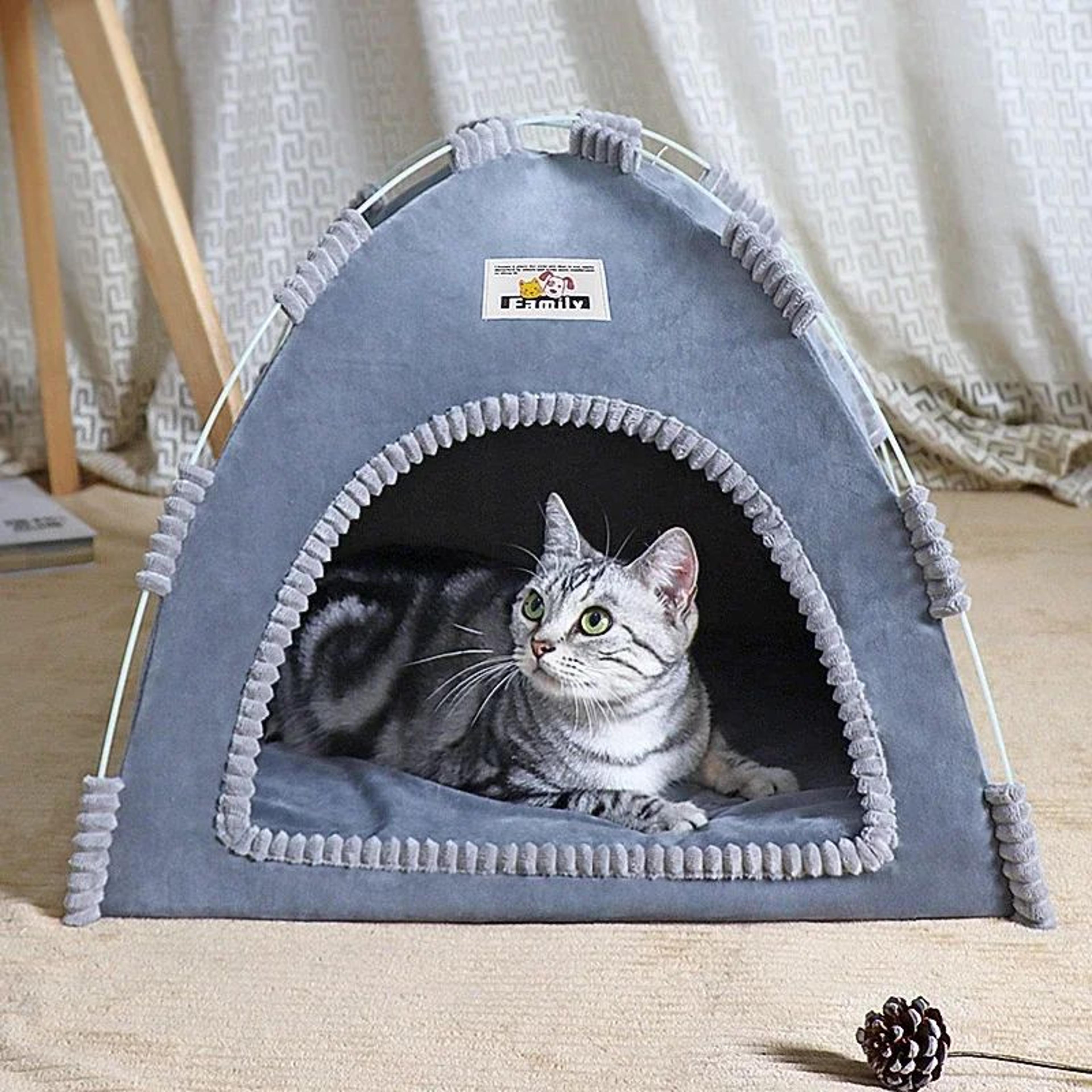 cozy pet tent bed for cats and small dogs