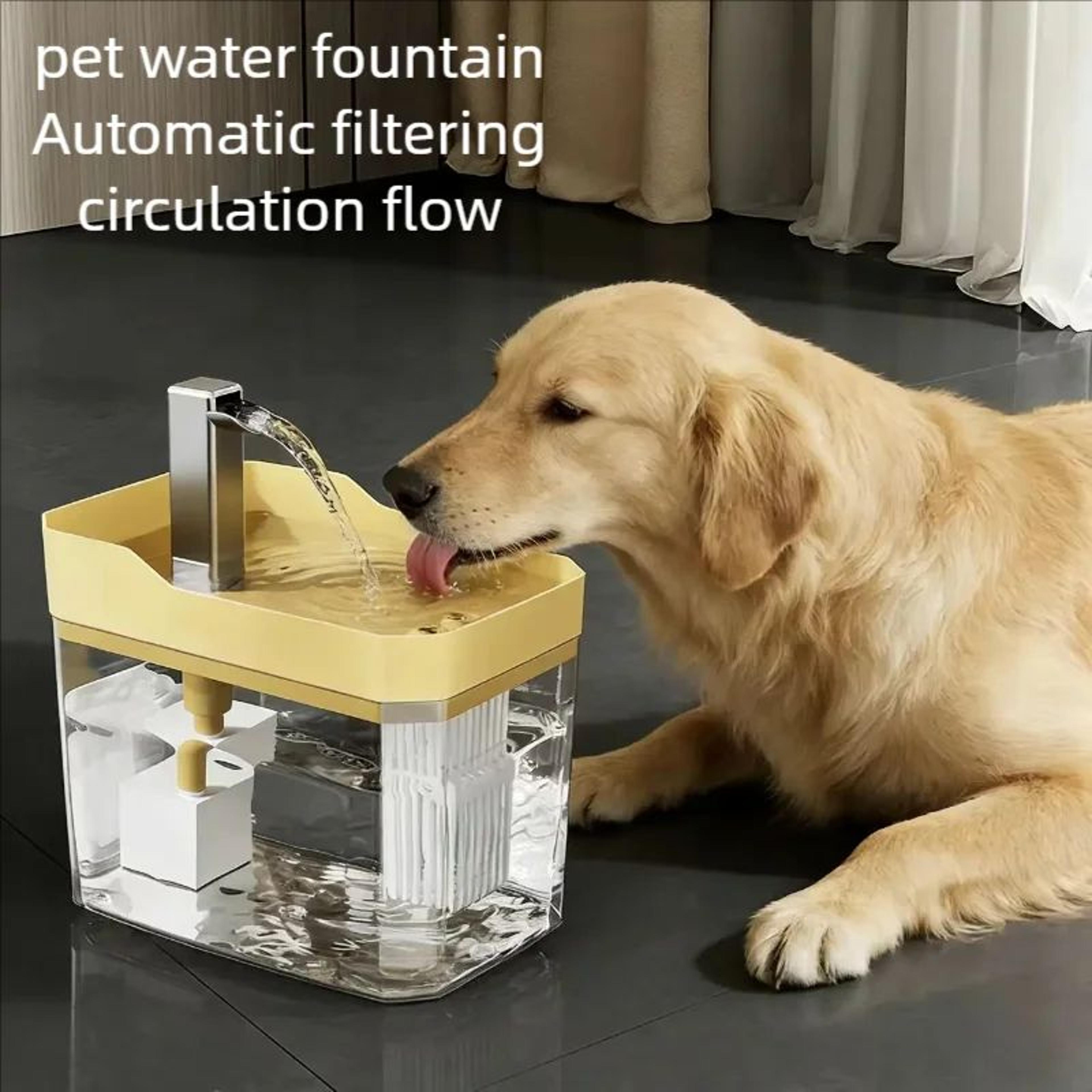 transparent automatic pet water fountain with flowing water system