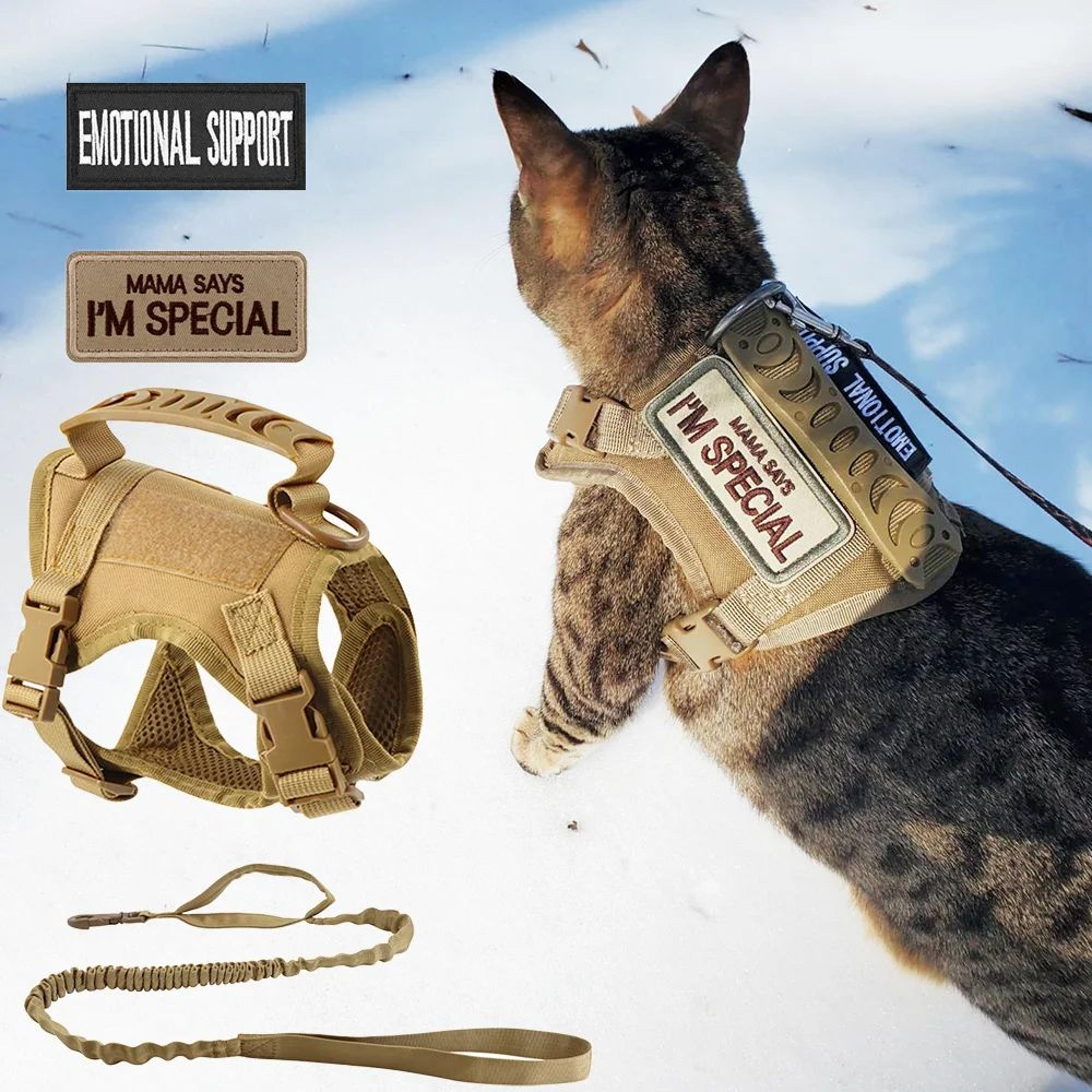 guardianpaw tactical cat harness and leash set