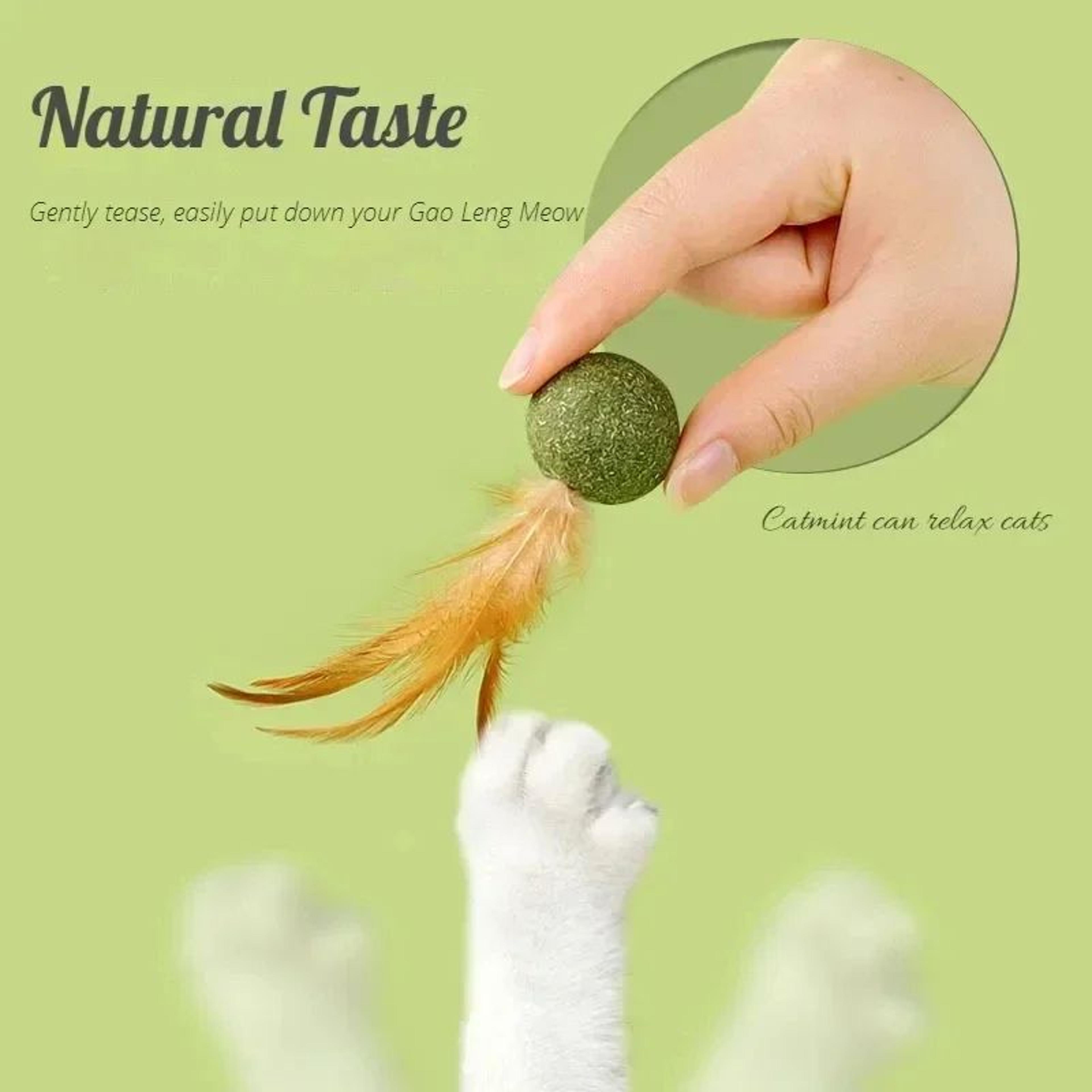 MintyPaws Catnip Ball Interactive Cat Chew Toy 2
