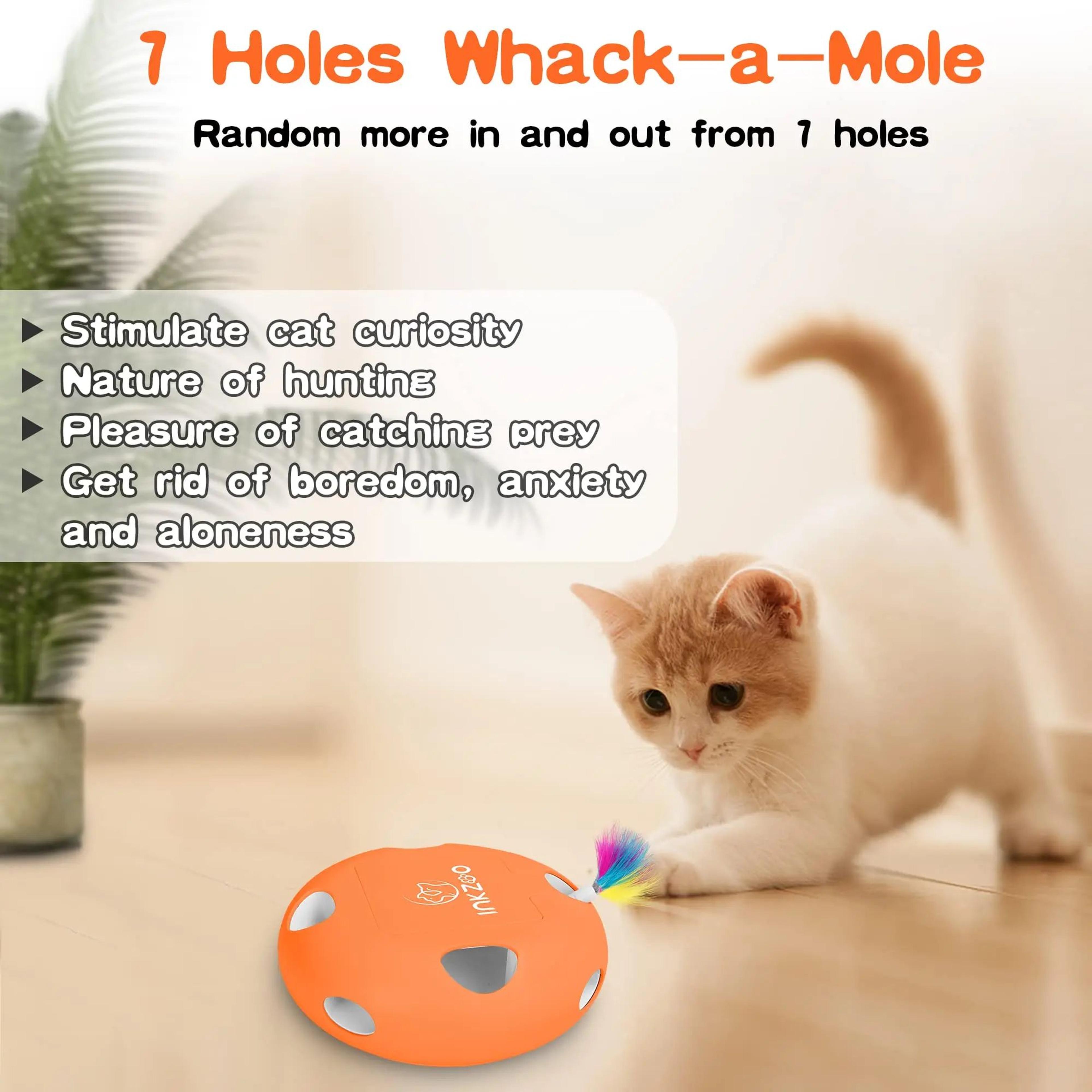 WhackPounce Interactive Cat Toy Game 4