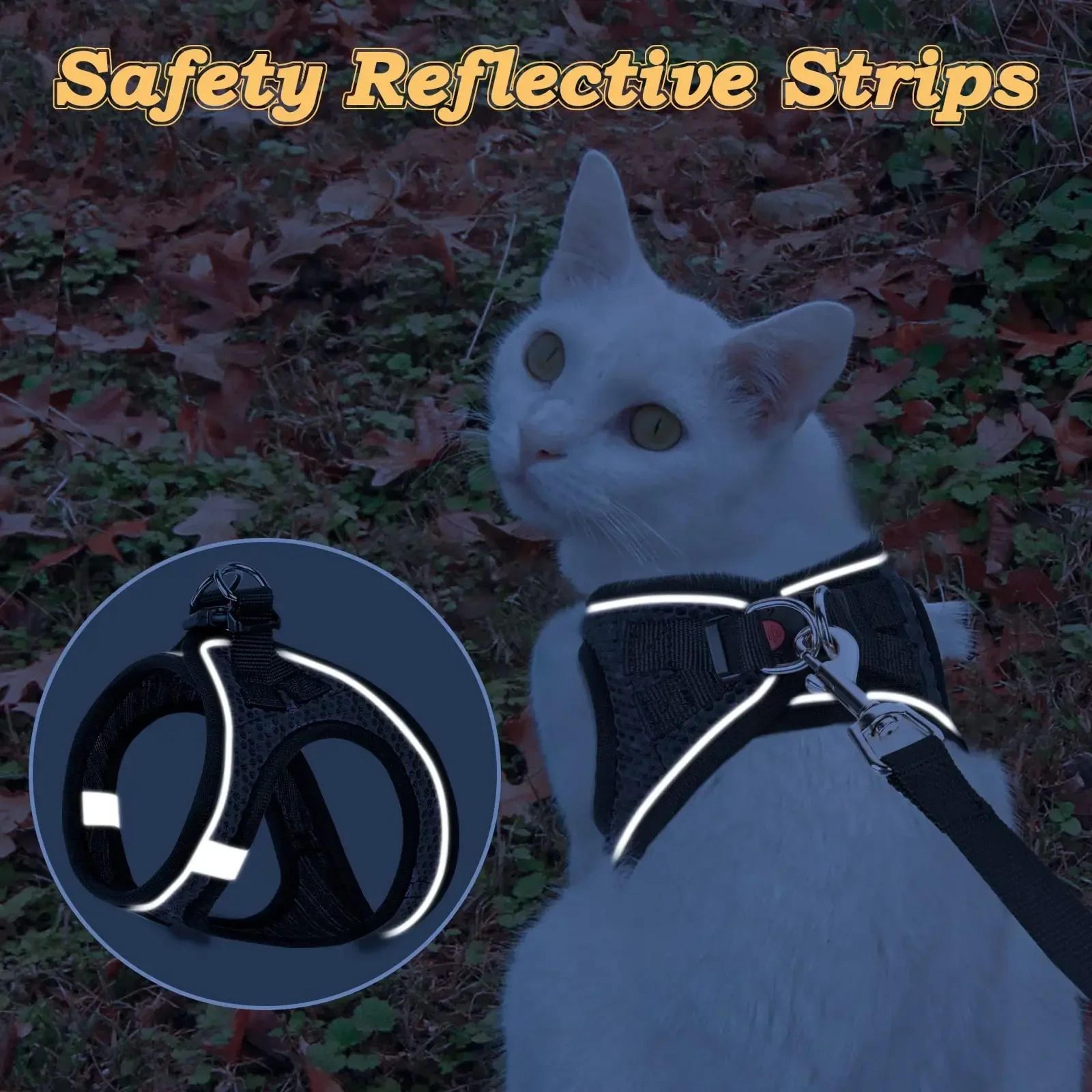 Adventure Cat Harness Set 4