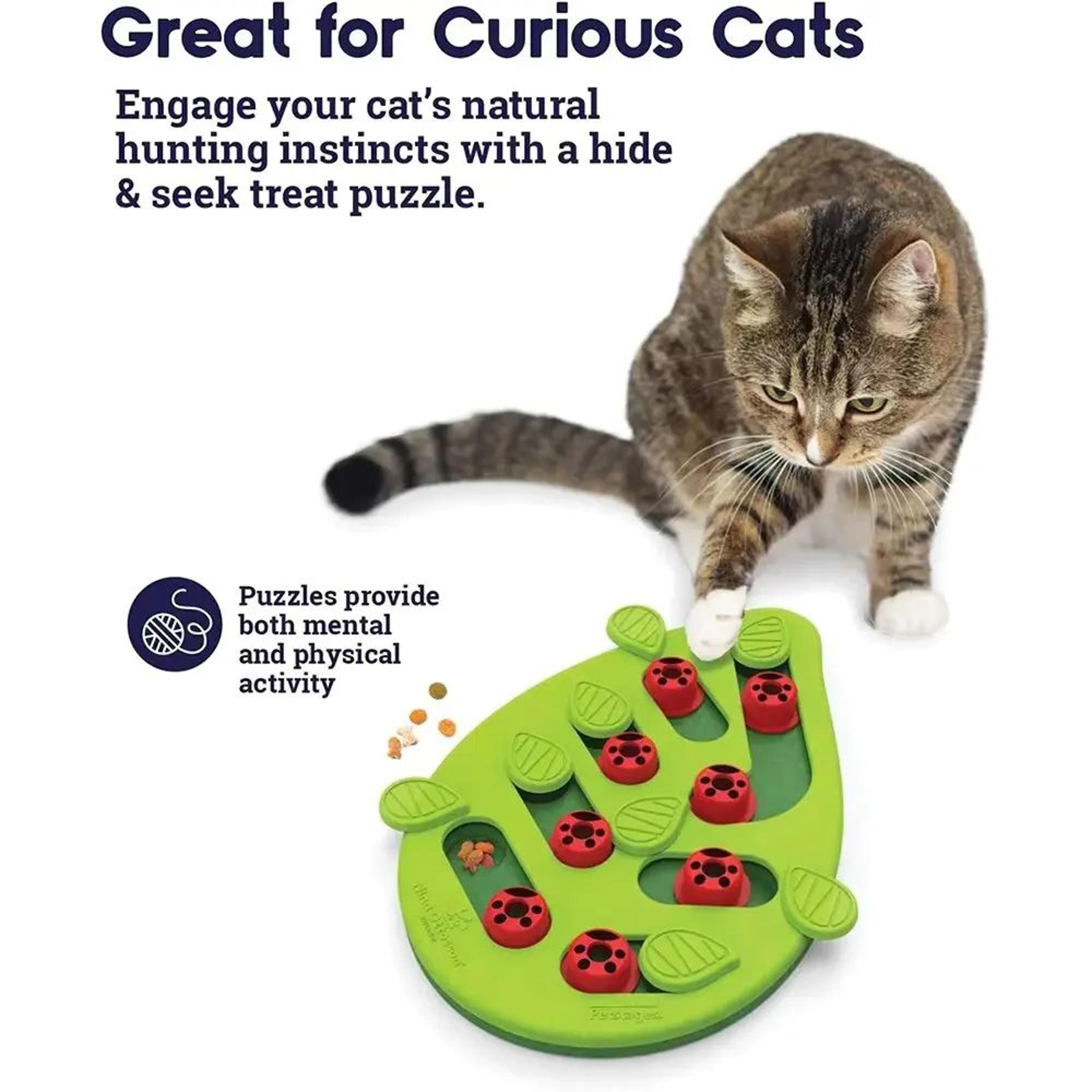 brainboost cat puzzle treat toy interactive slow feeder and iq training game