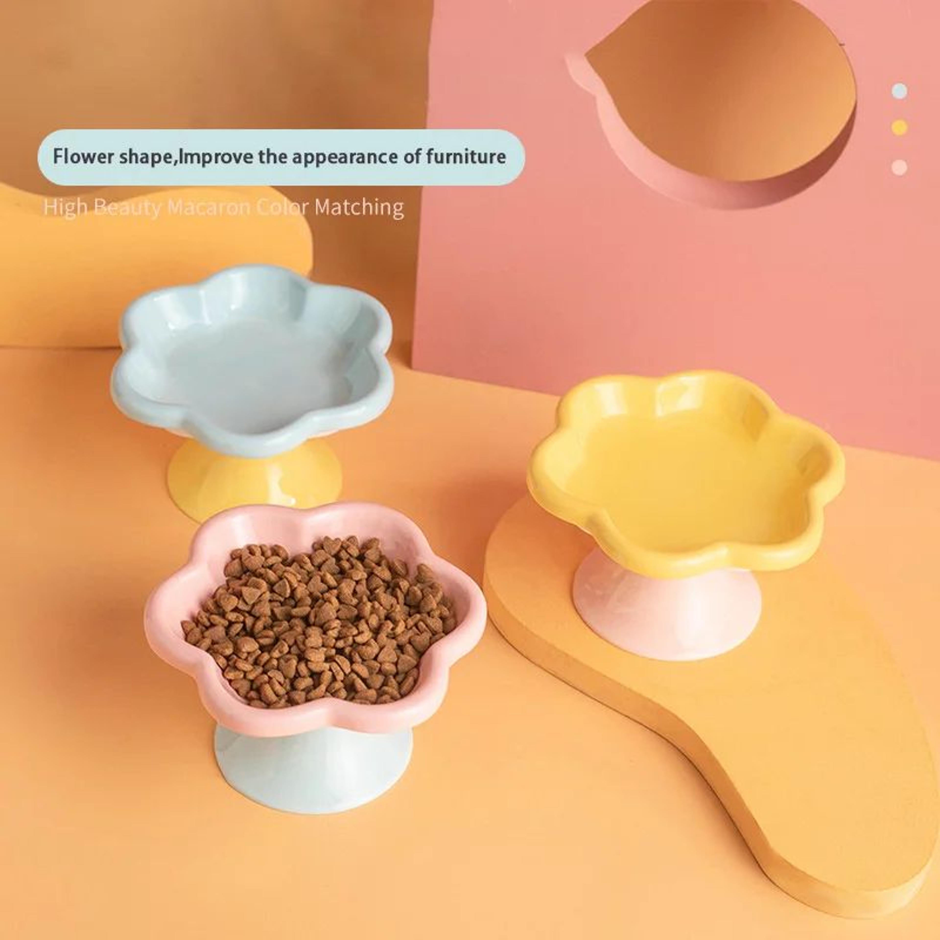 bloomrise elevated ceramic cat bowl with stand