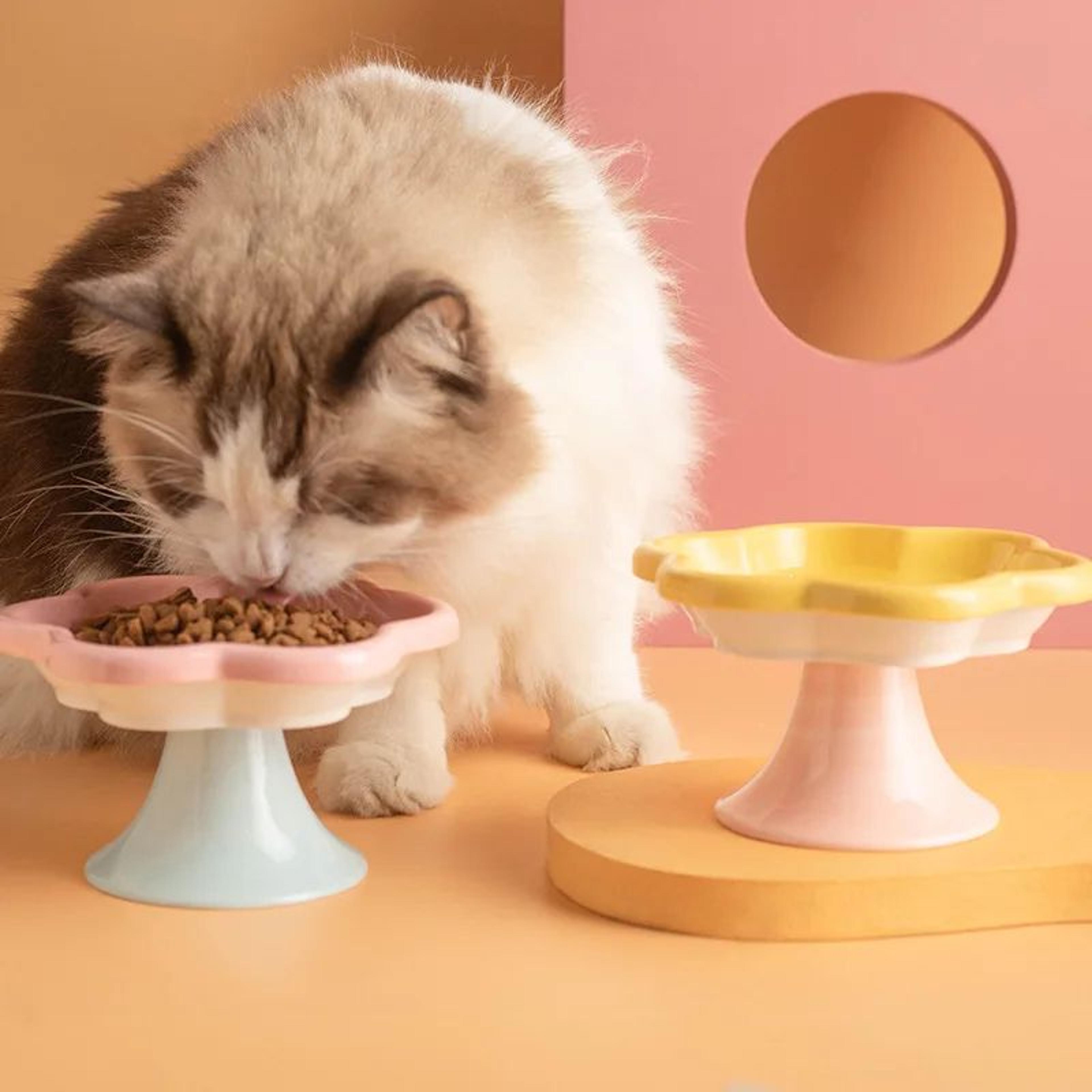 BloomRise Elevated Ceramic Cat Bowl With Stand 3