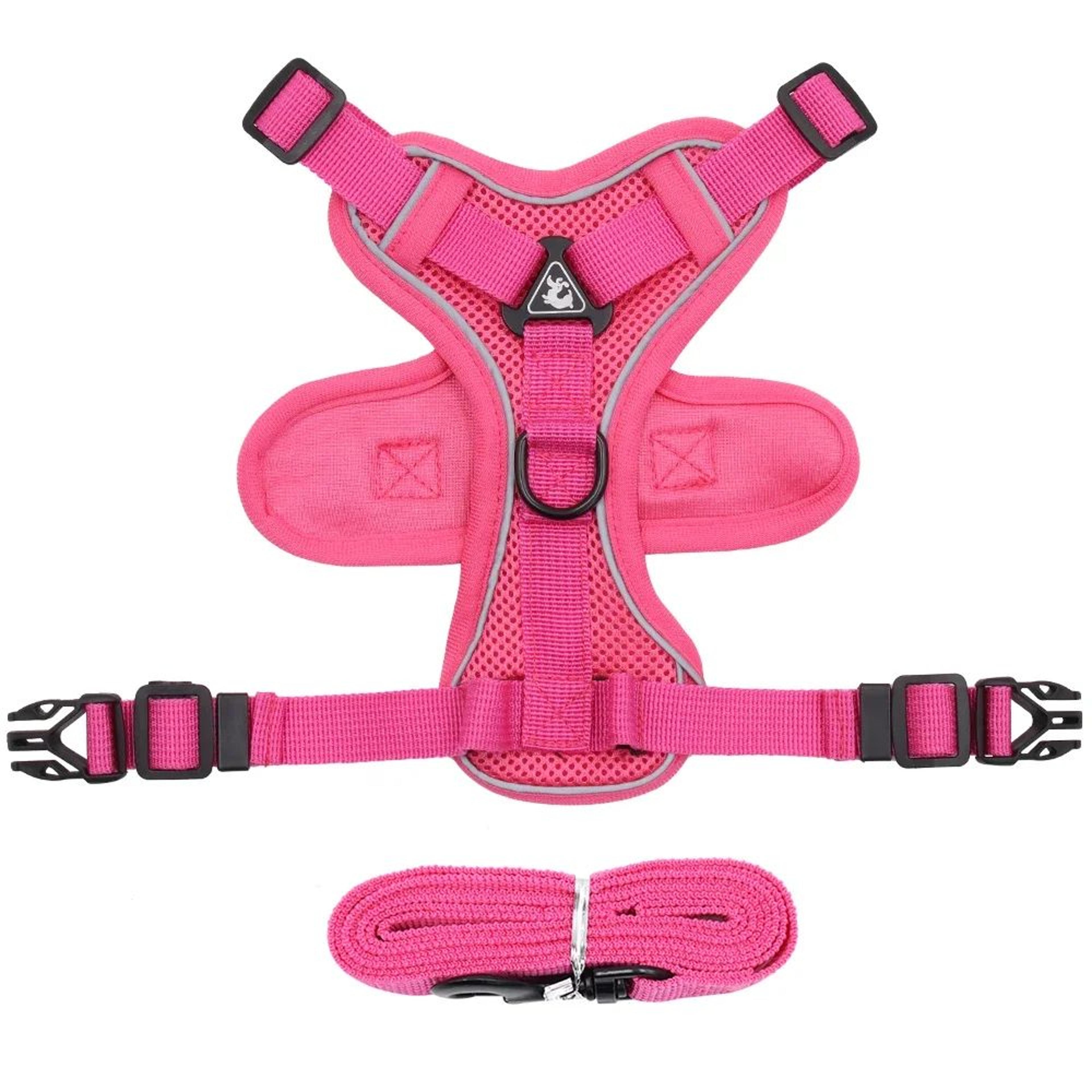 AdventureFit Cat Harness And Leash Set 10