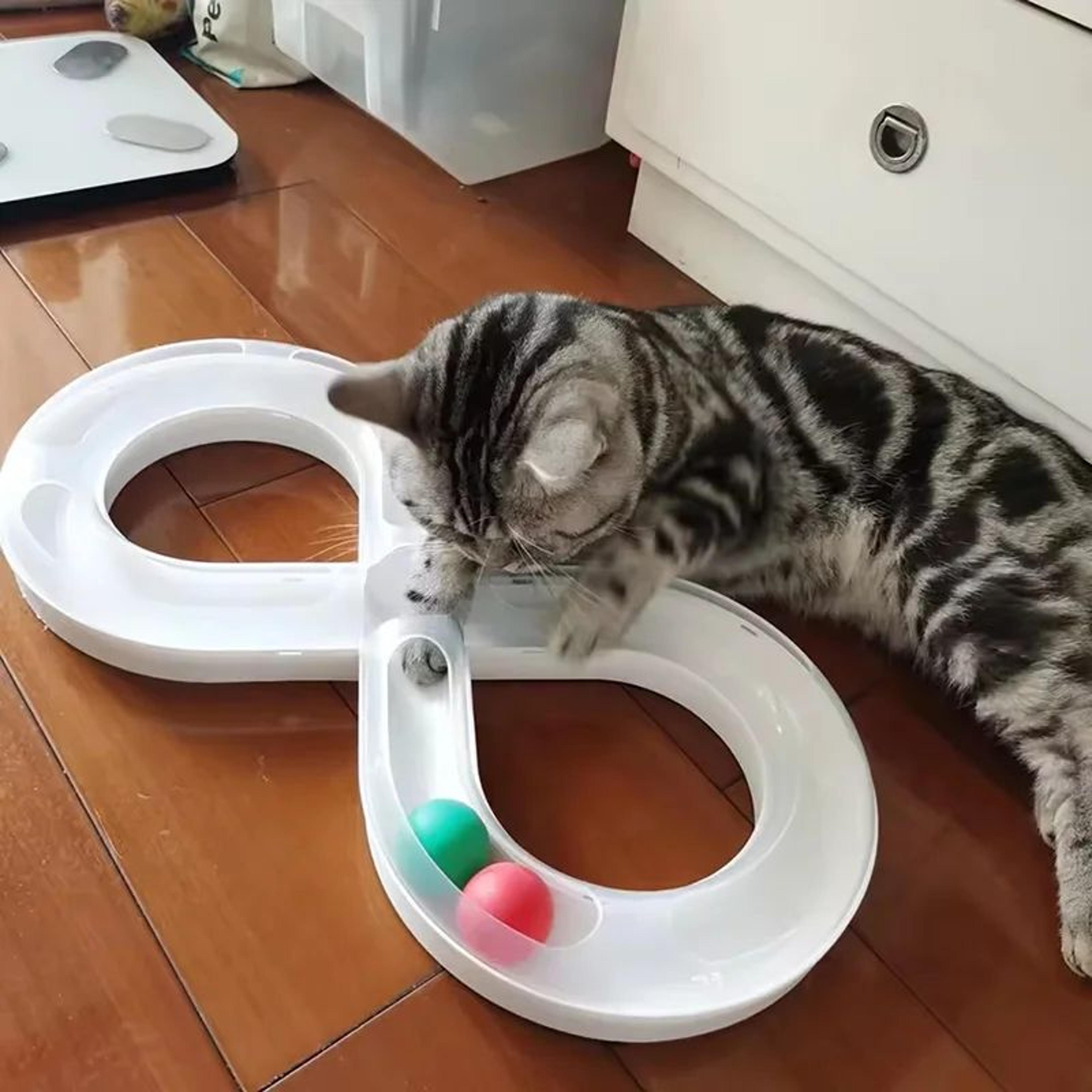 Orbit Spin Interactive Track Ball Cat Toy 0